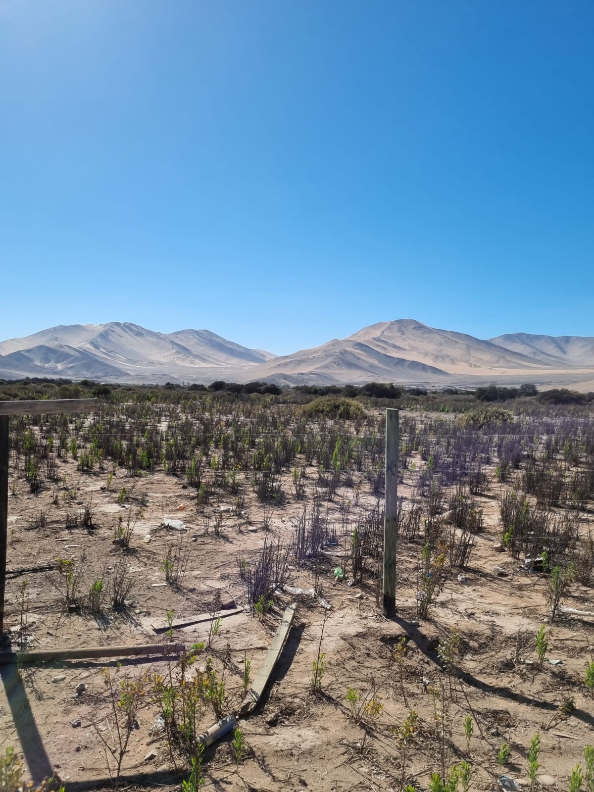 GRAN OPORTUNIDAD-ARRIENDO PARCELA FRENTE BY-PASS