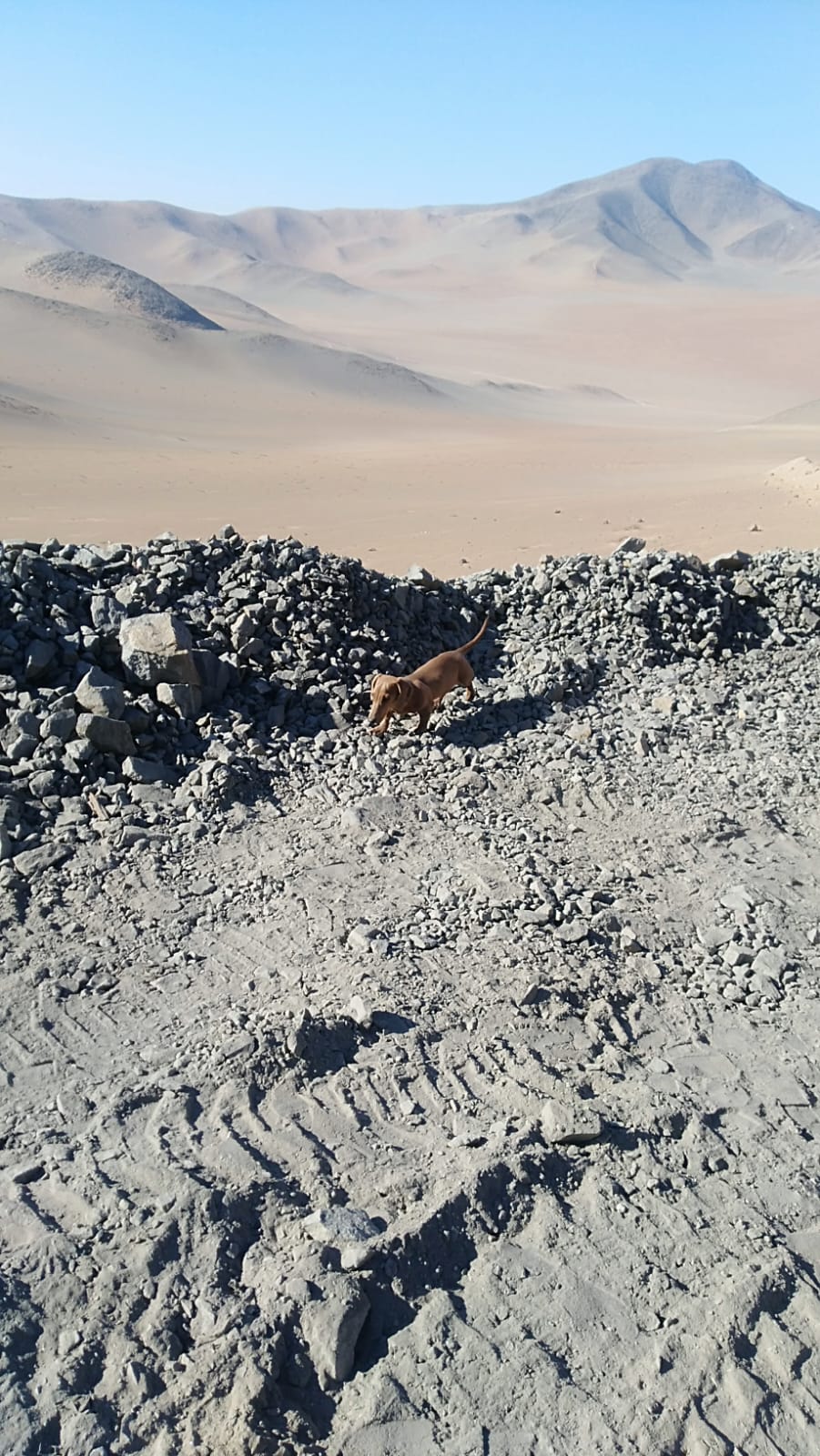 MINA LA PROBLEMA  DEL 1 AL 10.-