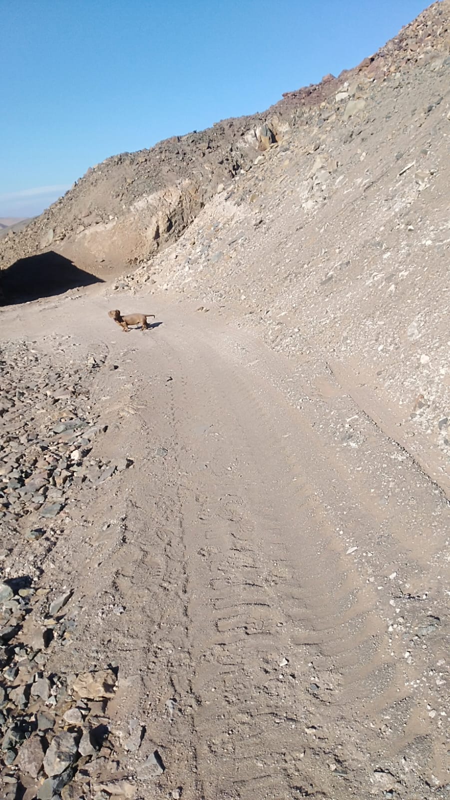 MINA LA PROBLEMA  DEL 1 AL 10.-