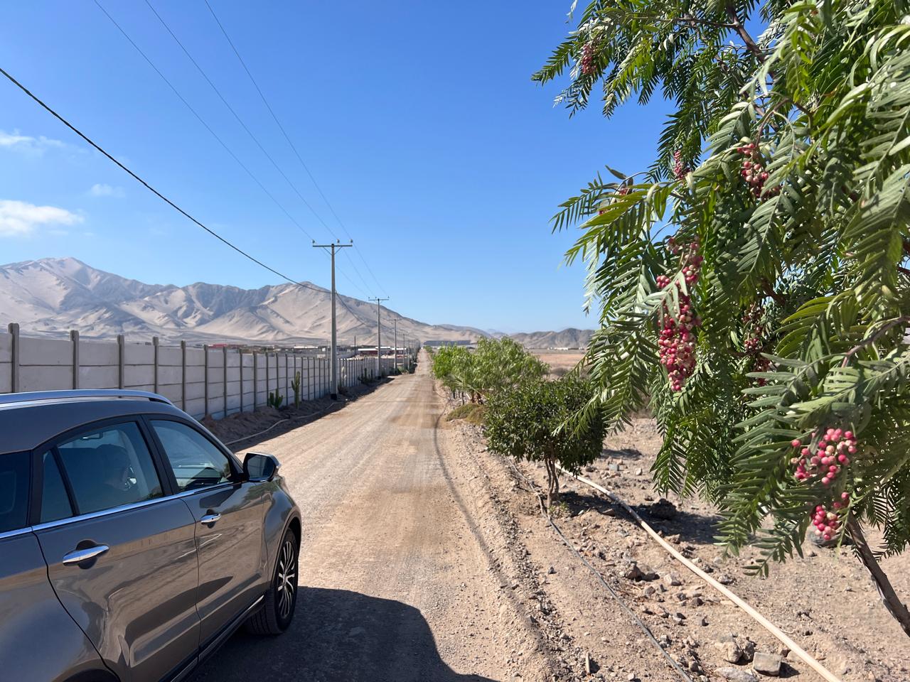 LINDO TERRENO EN SECTOR BUENAVENTURA-LOTE-33