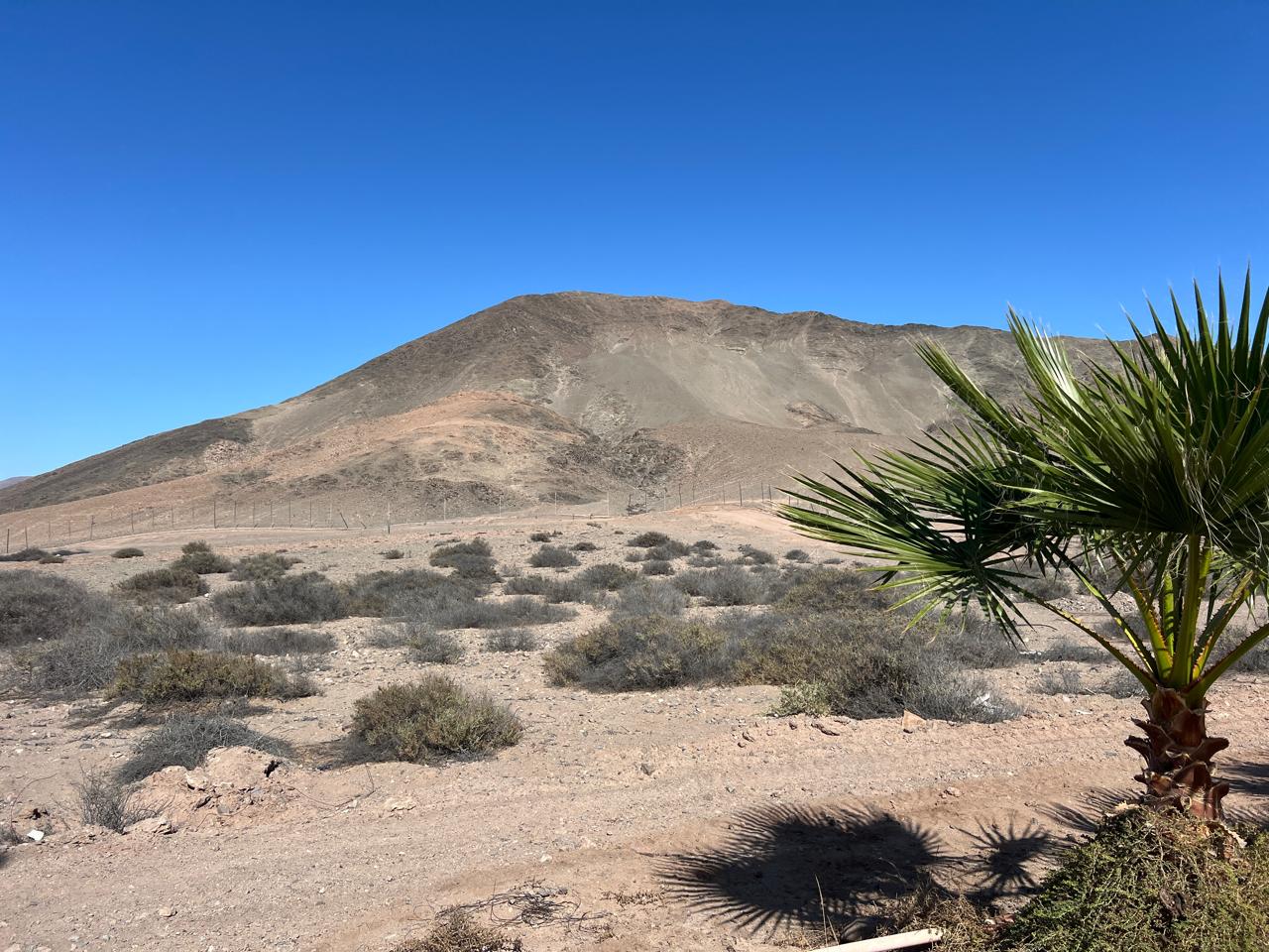 LINDO TERRENO EN SECTOR BUENAVENTURA-LOTE-33
