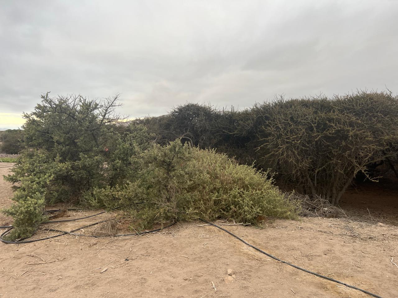 LINDA PARCELA VALLE FERTIL.- 5.000 M2.