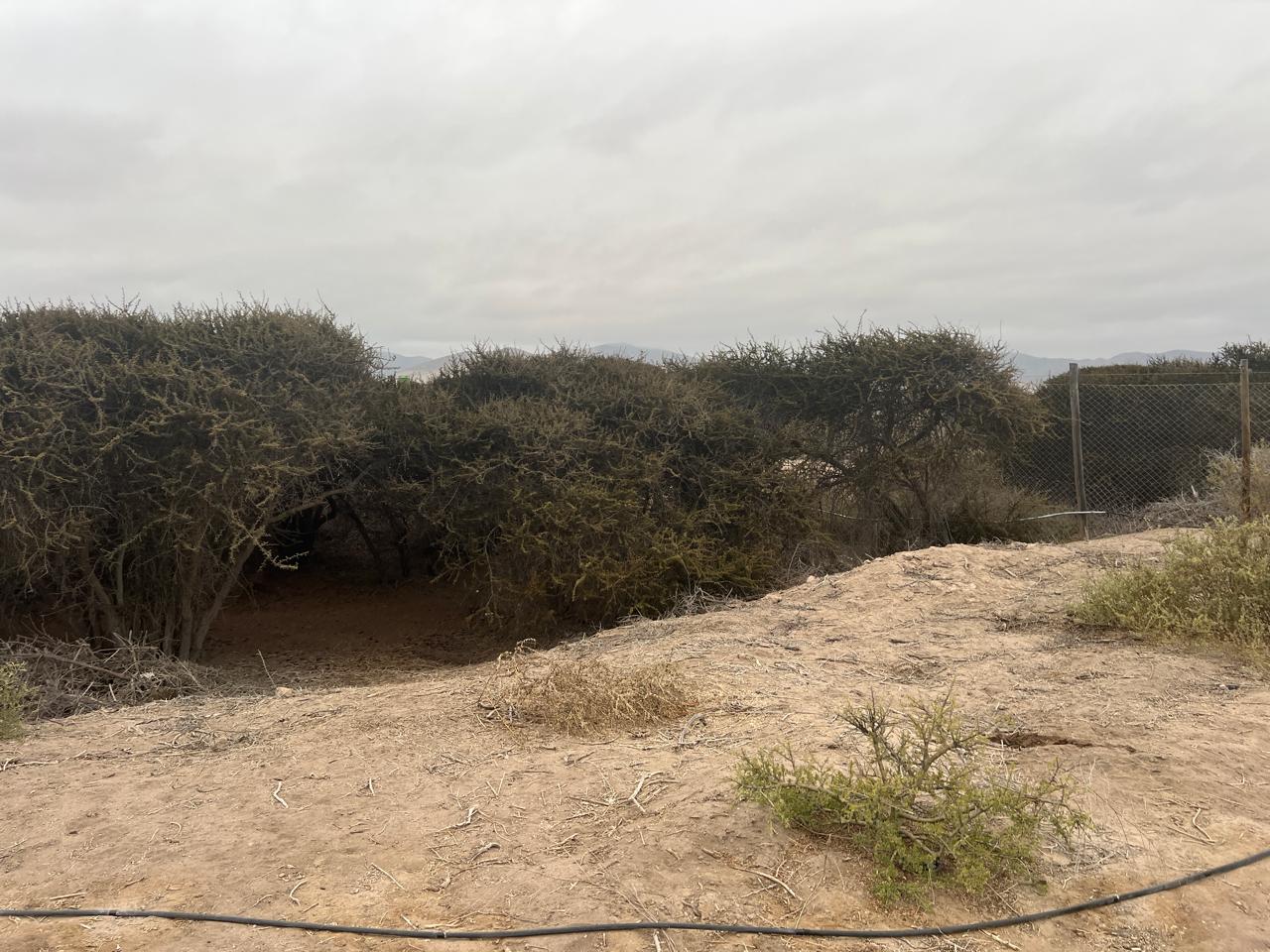 LINDA PARCELA VALLE FERTIL.- 5.000 M2.