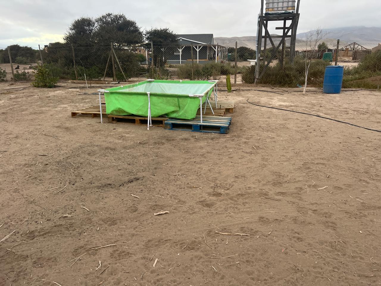 LINDA PARCELA VALLE FERTIL.- 5.000 M2.