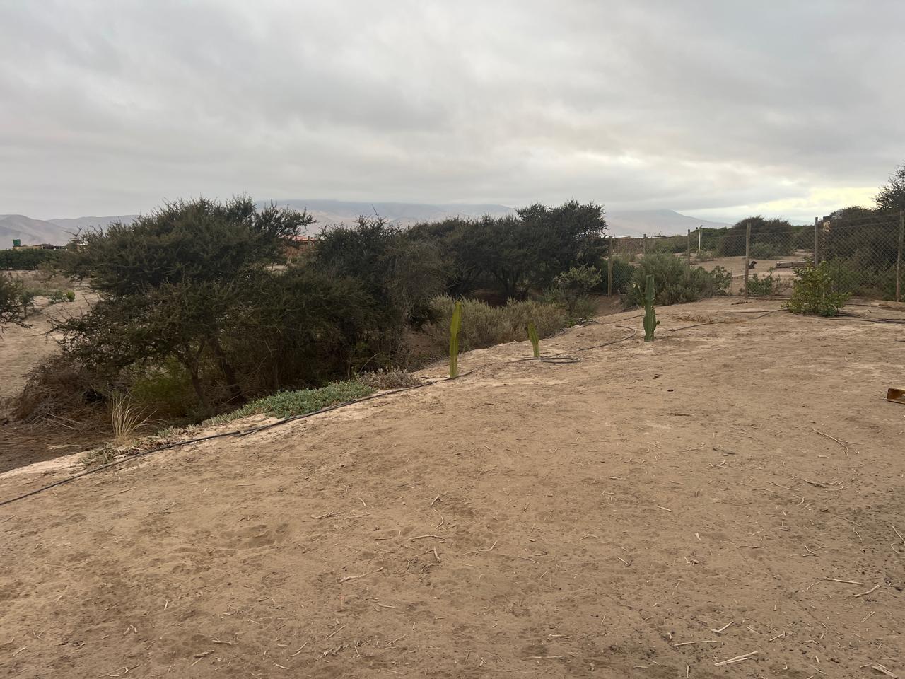 LINDA PARCELA VALLE FERTIL.- 5.000 M2.