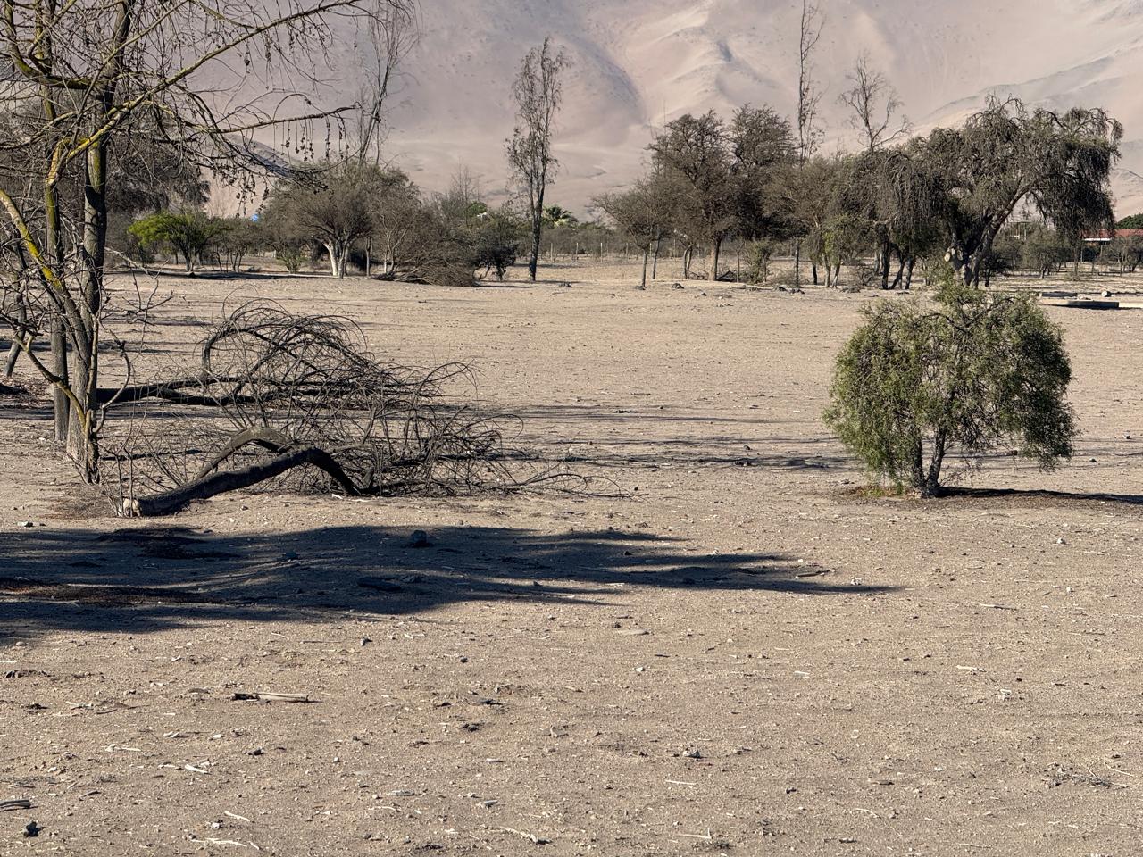GRAN PARCELACION LA MACARENA - PIEDRA COLGADA.-