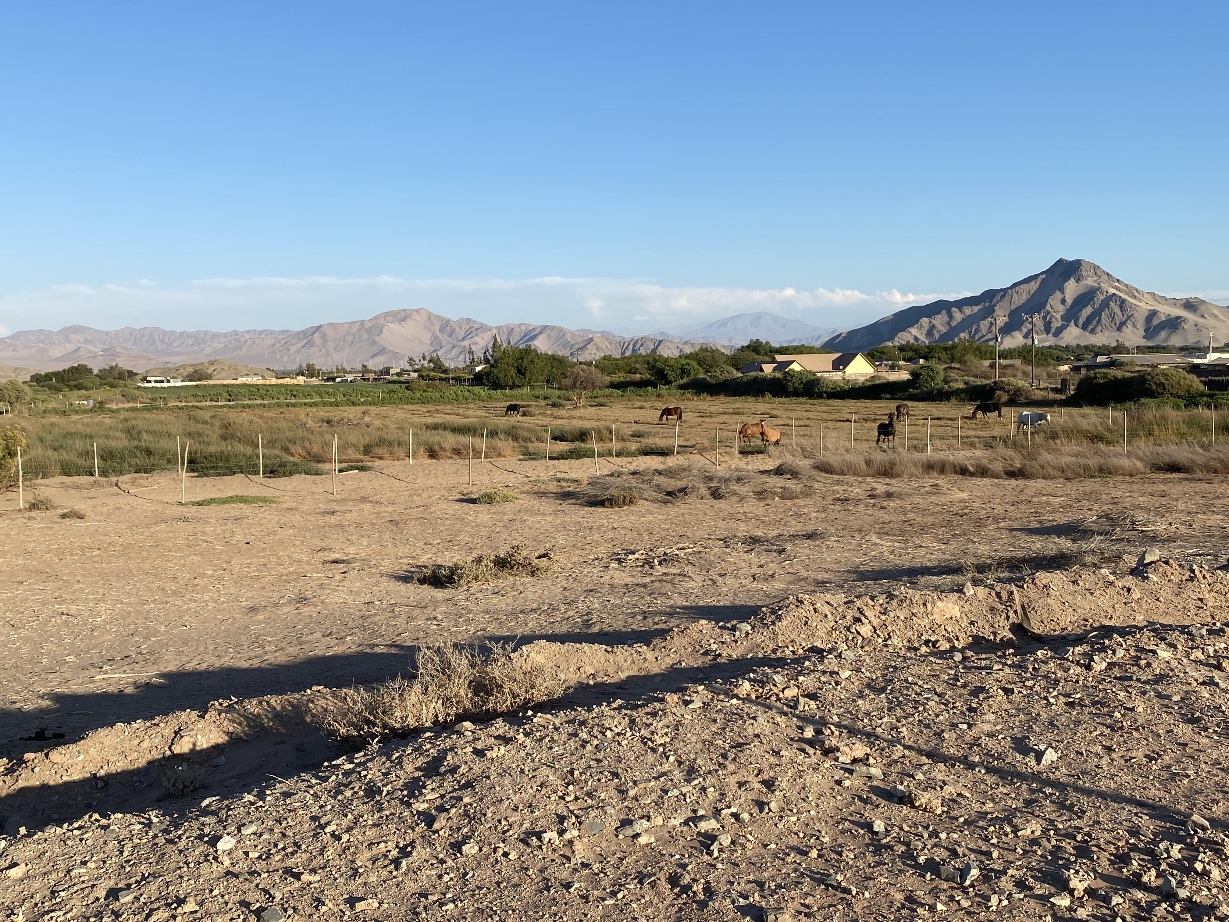 PARCELA CHAMONATE - FRENTE HOTEL WARA.-1/2 Ha.