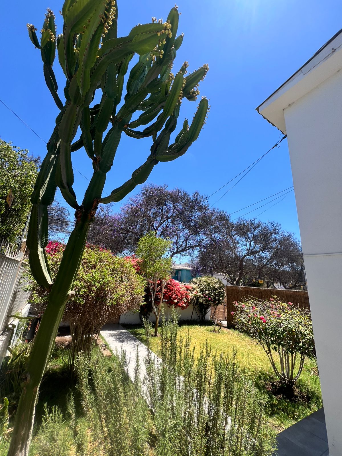 AMPLIA CASA AVENIDA SAN ROMAN.-