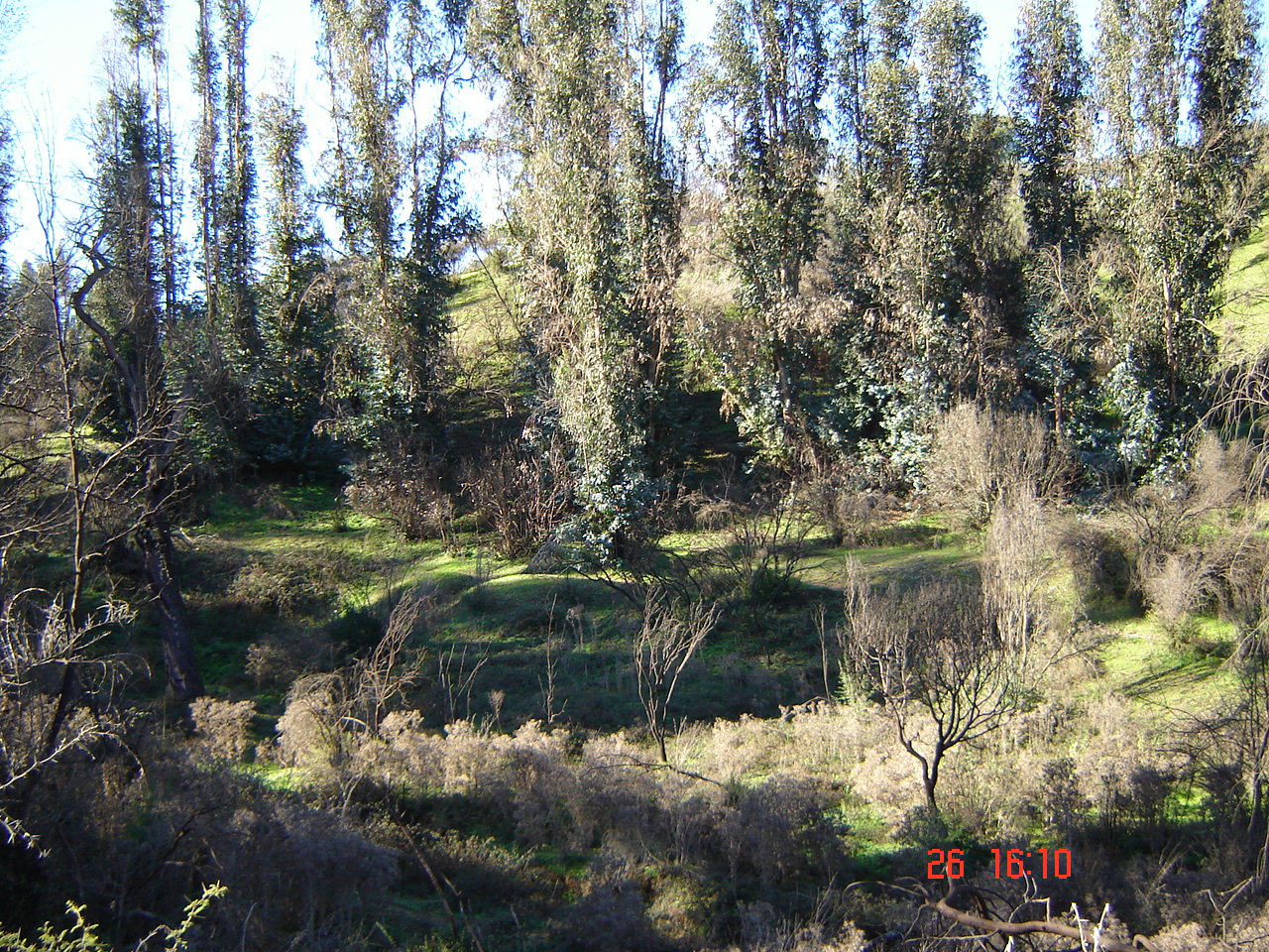 FUNDO PORVENIR-QUILPUE - V REGION DE VALPARAISO.-
