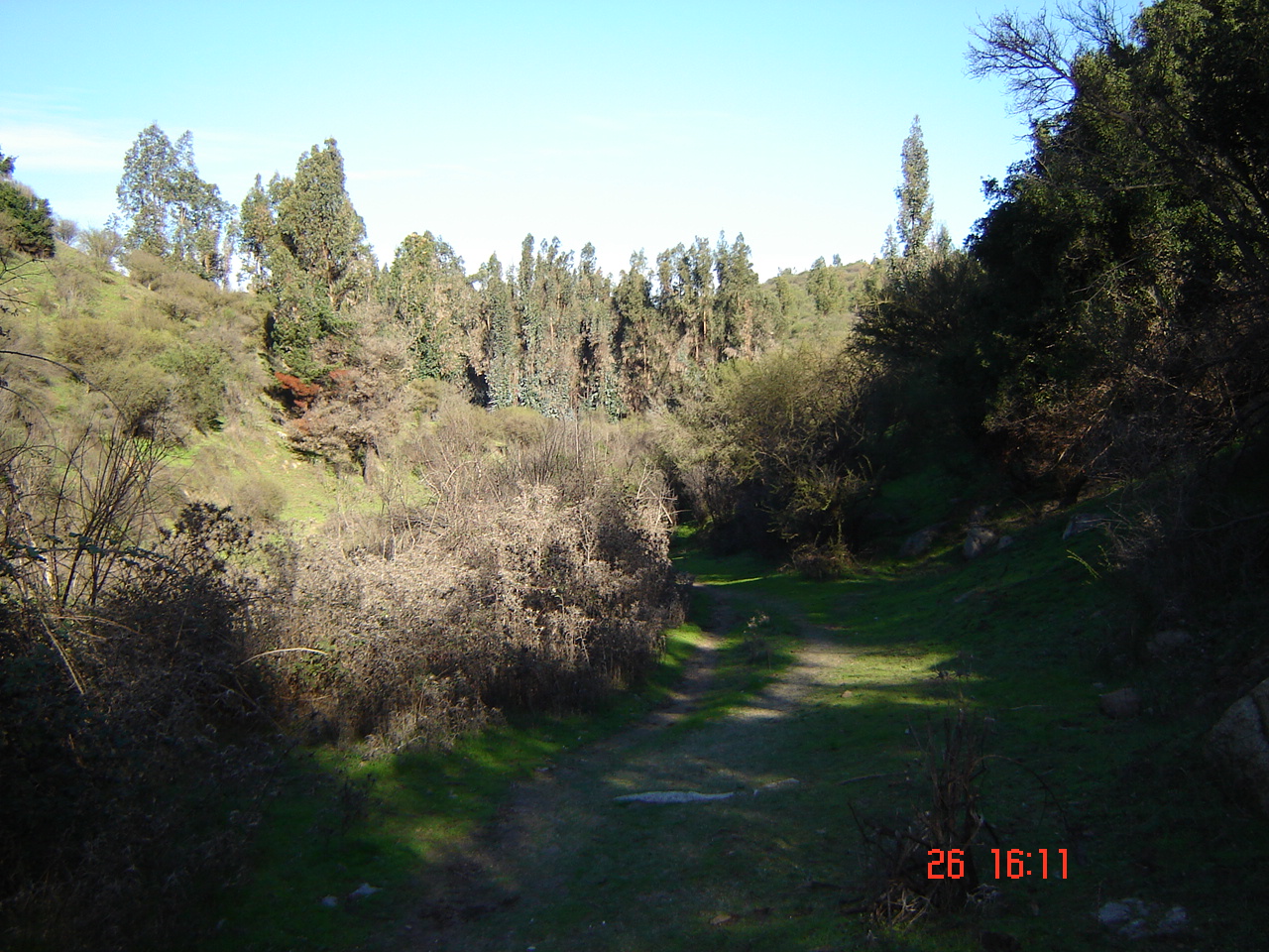 FUNDO PORVENIR-QUILPUE - V REGION DE VALPARAISO.-