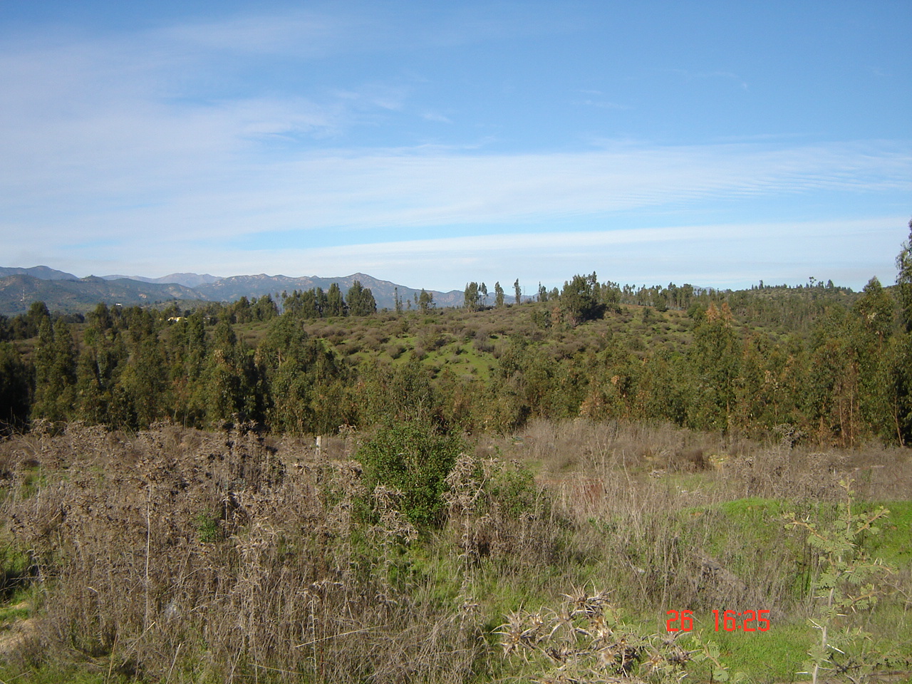 FUNDO PORVENIR-QUILPUE - V REGION DE VALPARAISO.-
