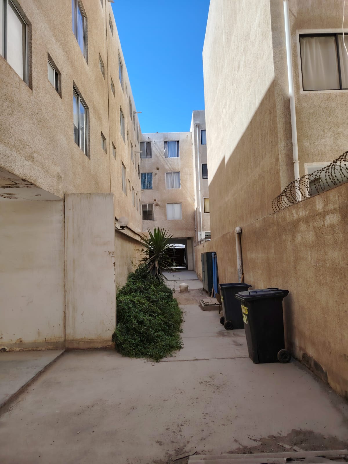 EDIFICIO CASABERMEJA - CALLE INFANTE.-