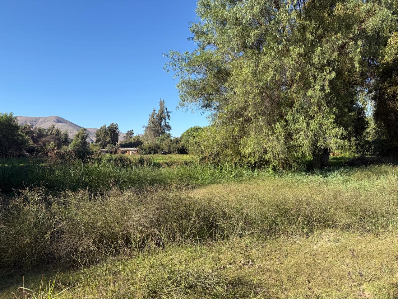 GRAN Y ESPECTACULAR TERRENO AV. COPAYAPU/RAFAEL ZORRAINDO.-