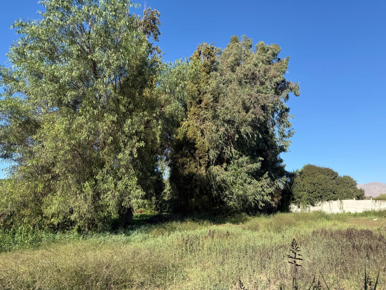 GRAN Y ESPECTACULAR TERRENO AV. COPAYAPU/RAFAEL ZORRAINDO.-