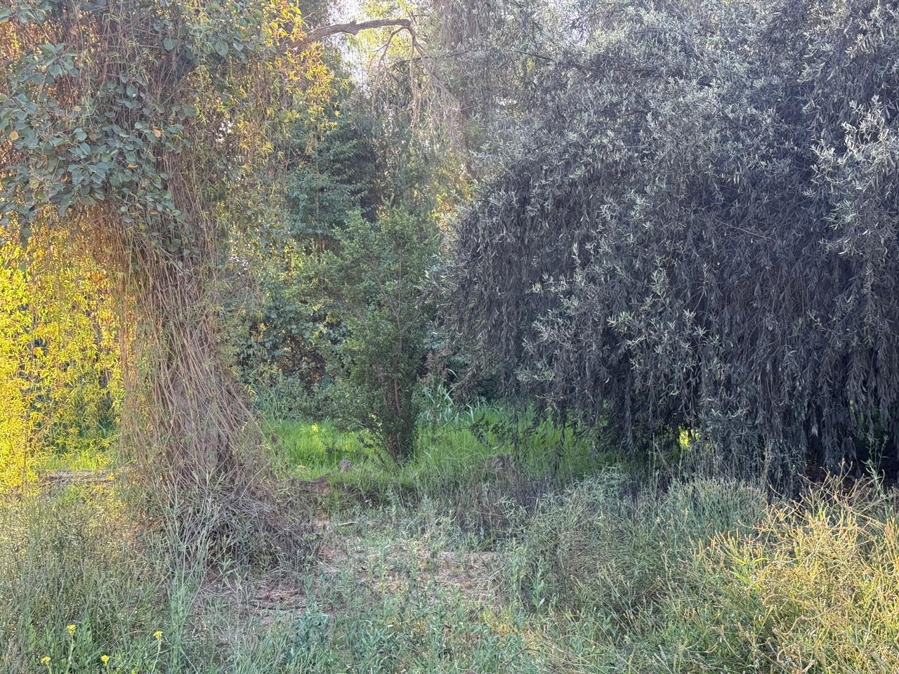 GRAN Y ESPECTACULAR TERRENO AV. COPAYAPU/RAFAEL ZORRAINDO.-