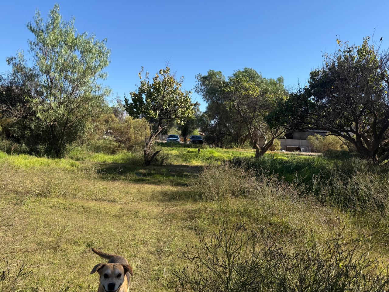 GRAN Y ESPECTACULAR TERRENO AV. COPAYAPU/RAFAEL ZORRAINDO.-