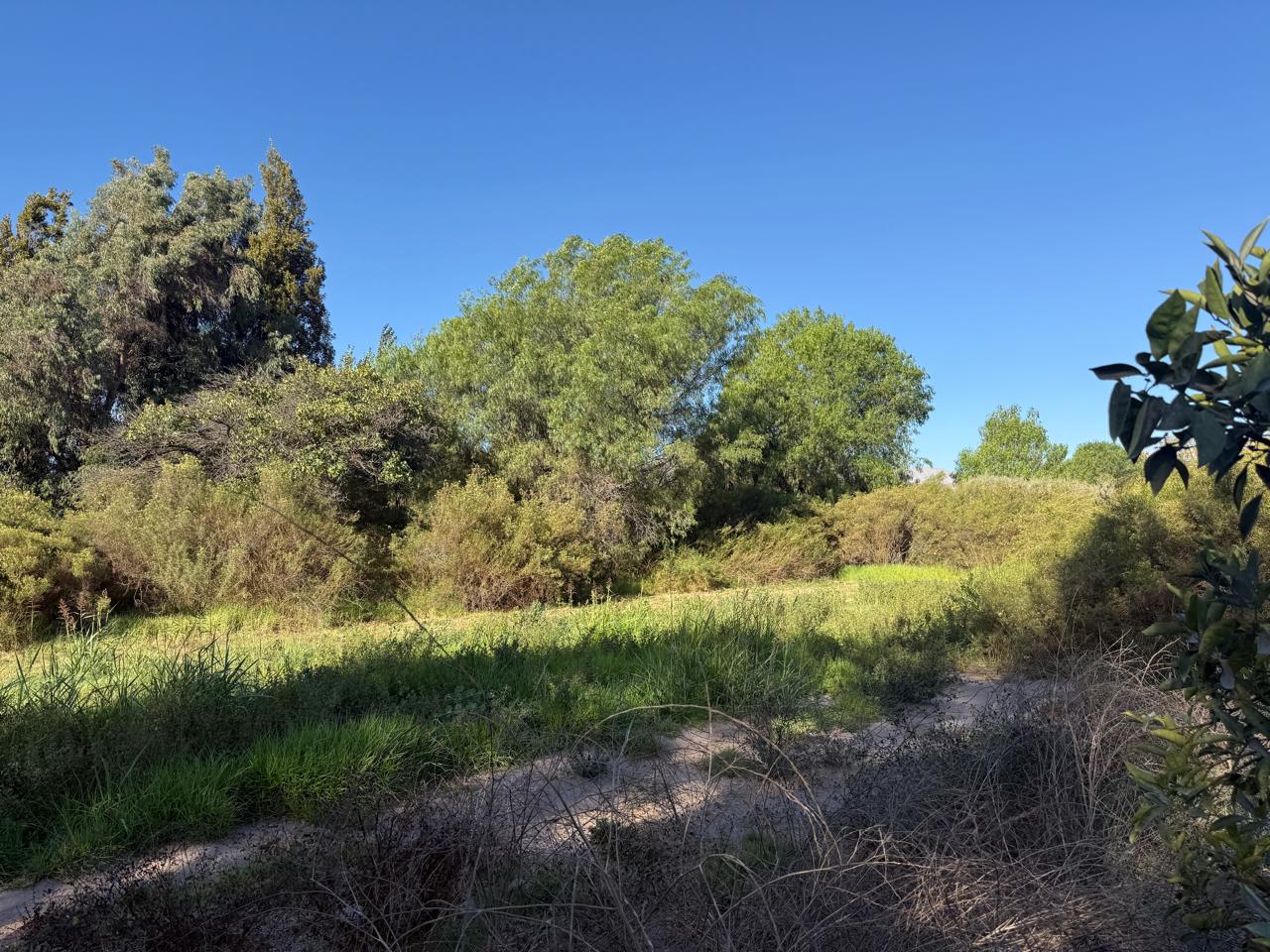 GRAN Y ESPECTACULAR TERRENO AV. COPAYAPU/RAFAEL ZORRAINDO.-