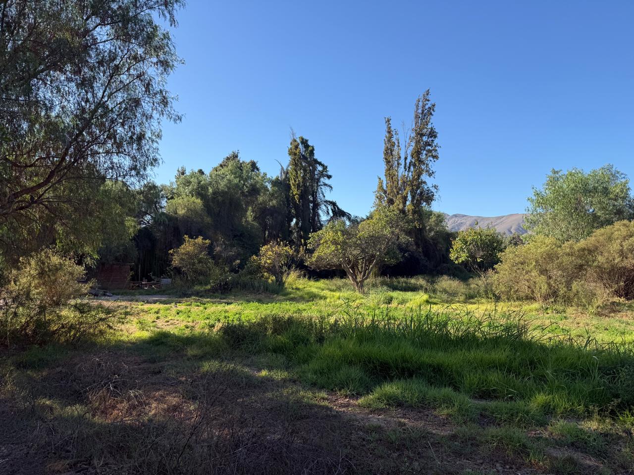 GRAN Y ESPECTACULAR TERRENO AV. COPAYAPU/RAFAEL ZORRAINDO.-