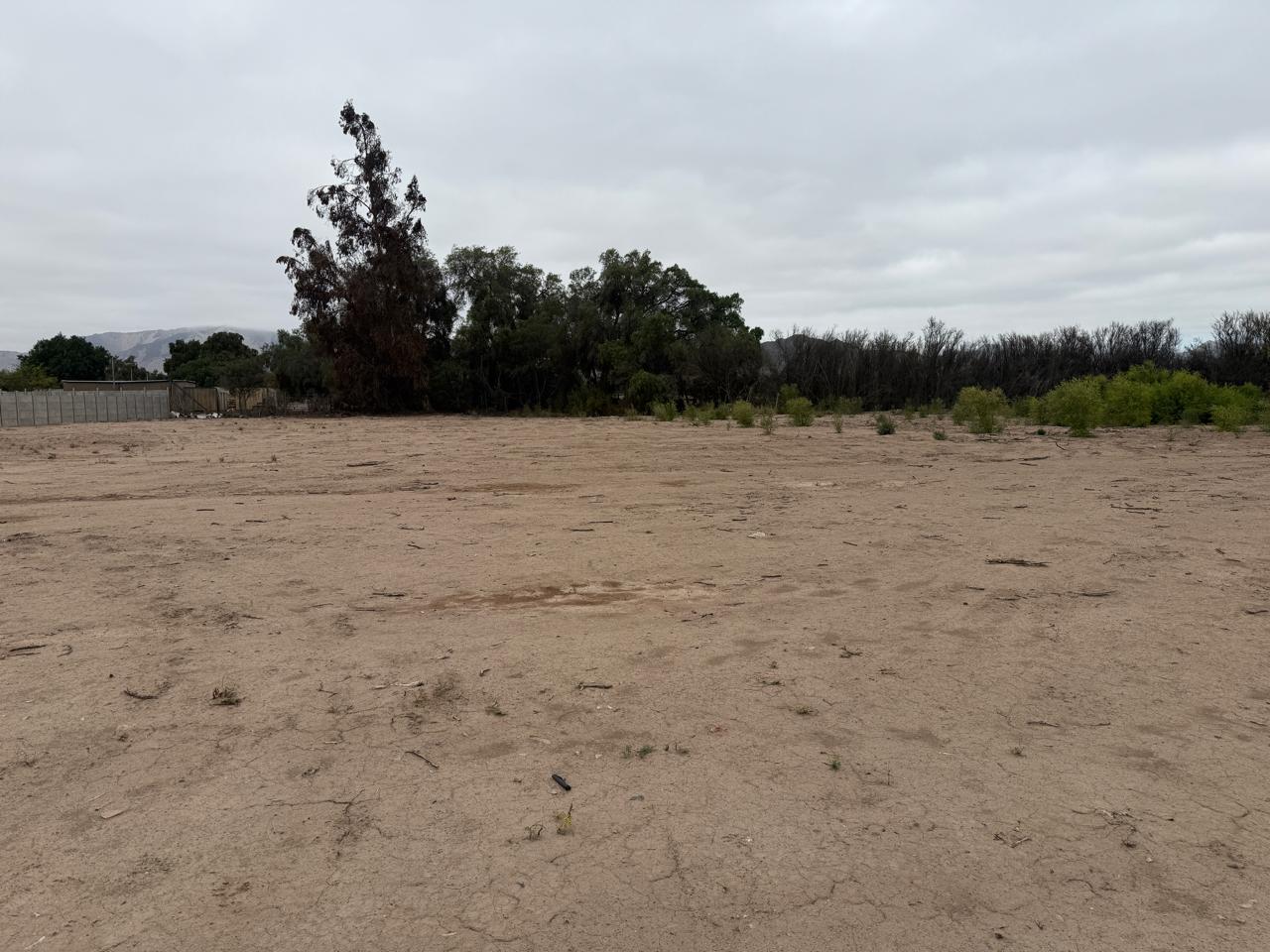 PARCELA PROYECTO PARQUE CHAMONATE