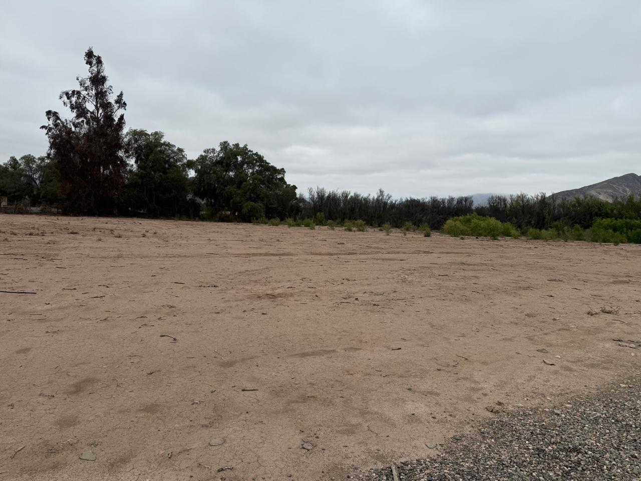 PARCELA PROYECTO PARQUE CHAMONATE