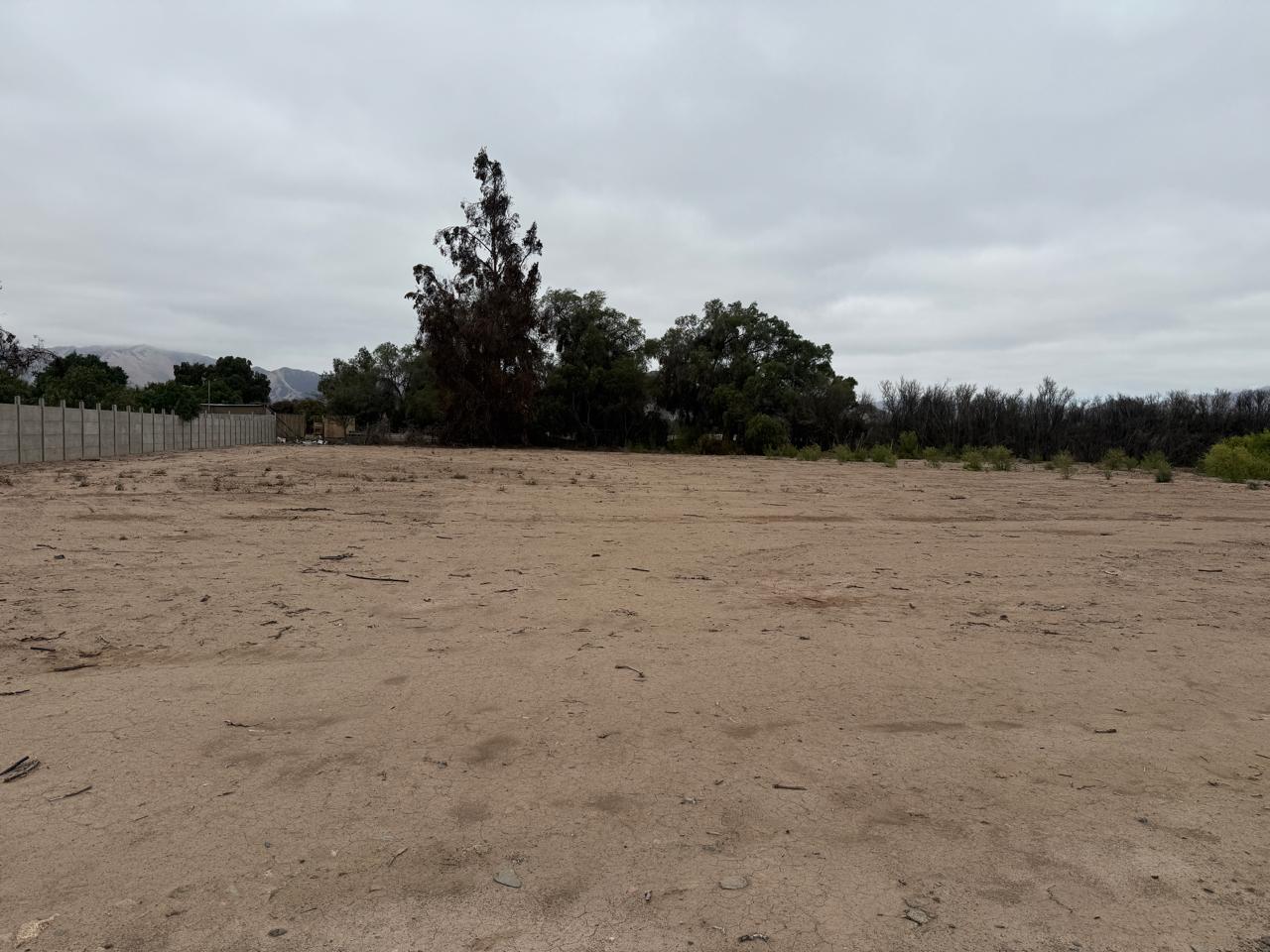 PARCELA PROYECTO PARQUE CHAMONATE