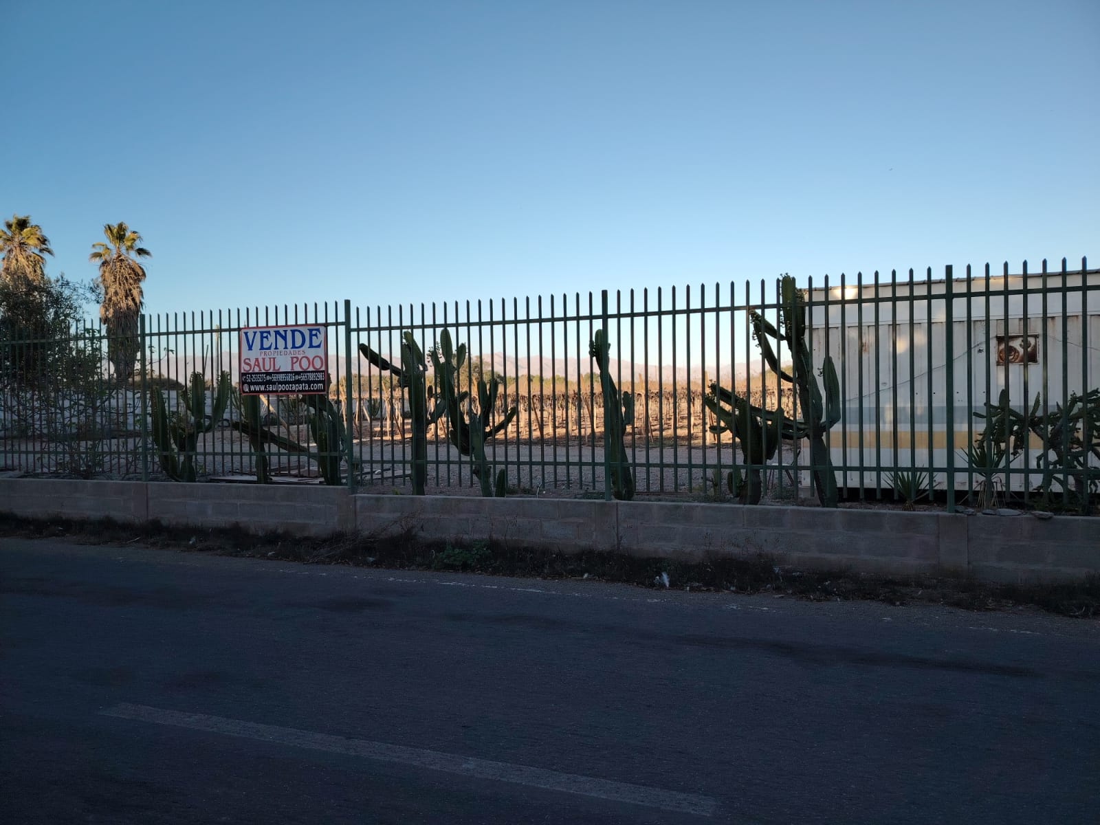 SECTOR NORTE / GRAN PARCELA AGROINDUSTRIAL .- 30.000 MTS.2
