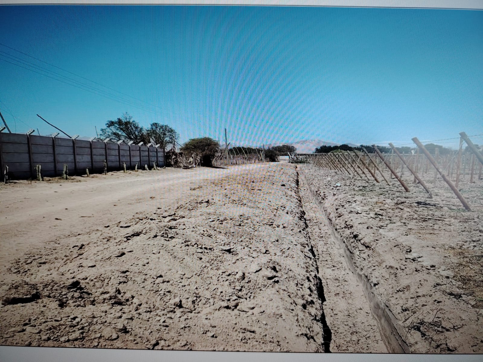 SECTOR NORTE / GRAN PARCELA AGROINDUSTRIAL .- 30.000 MTS.2