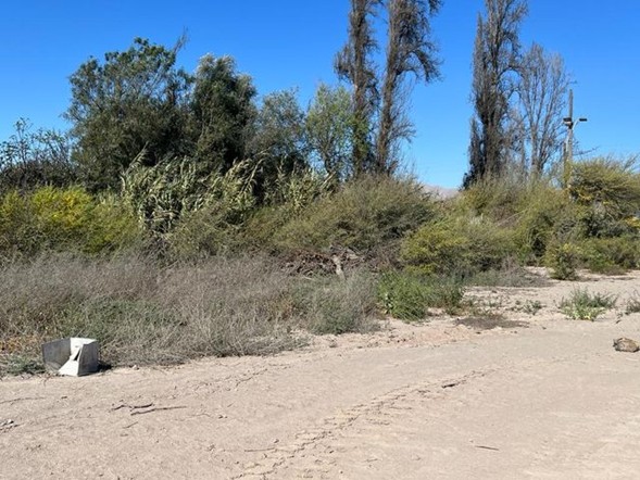 VENTA TERRENO - CALLEJON GUILLERMO TORO LORCA 