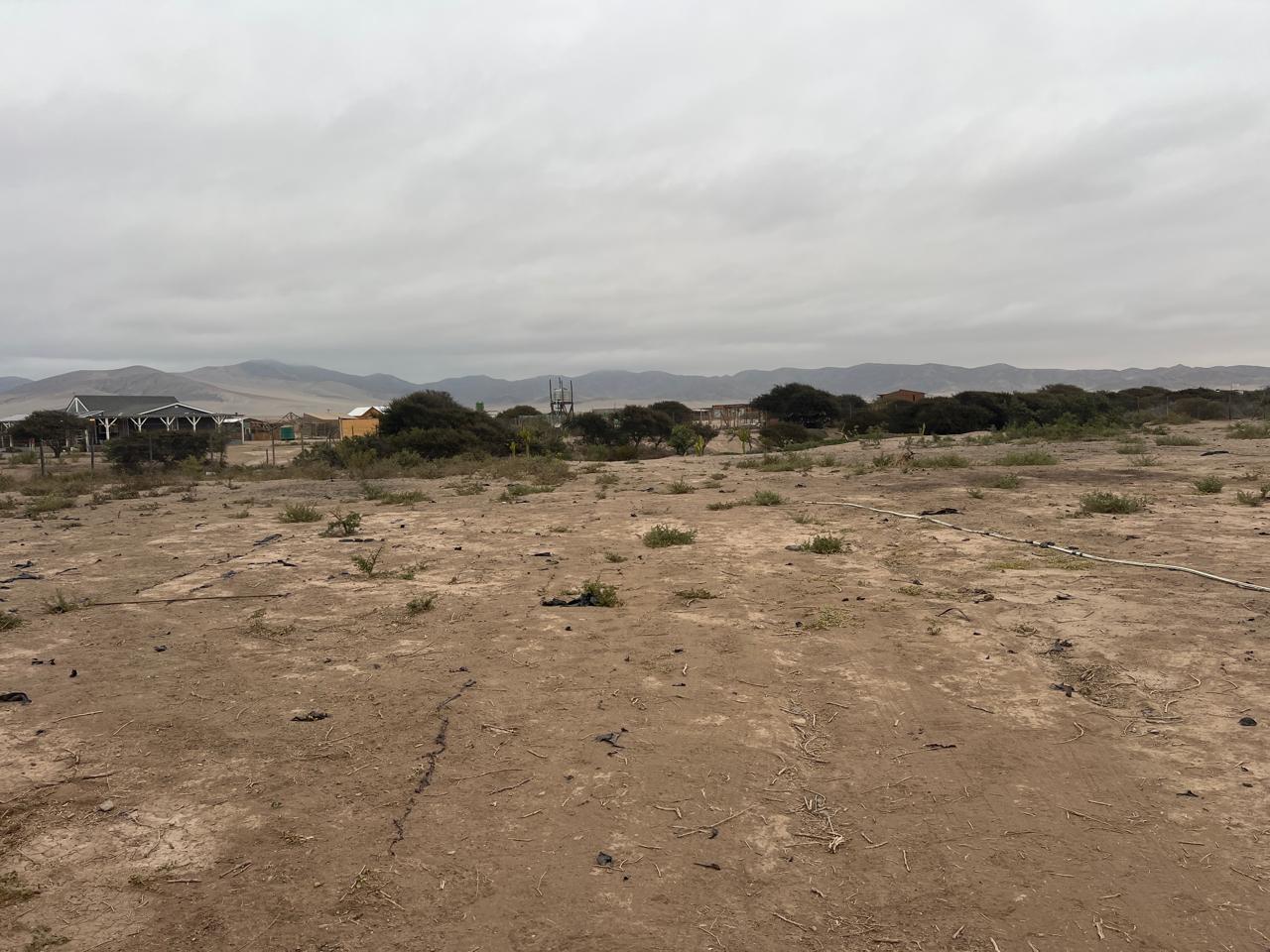 EXCELENTE PARCELA - VALLE FERTIL - A 5 MIN DE CARRETERA.-1/2 Ha.