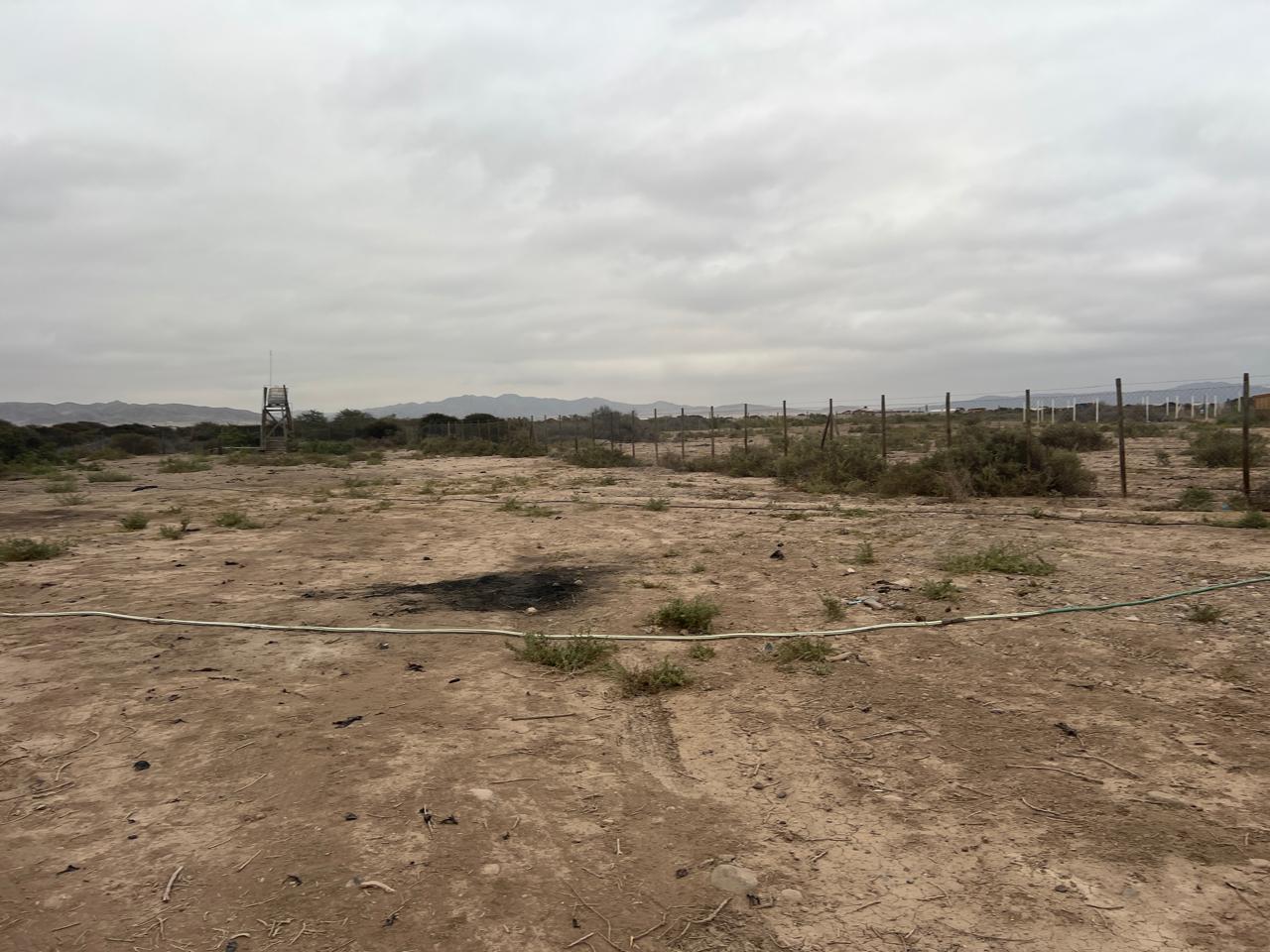 EXCELENTE PARCELA - VALLE FERTIL - A 5 MIN DE CARRETERA.-1/2 Ha.