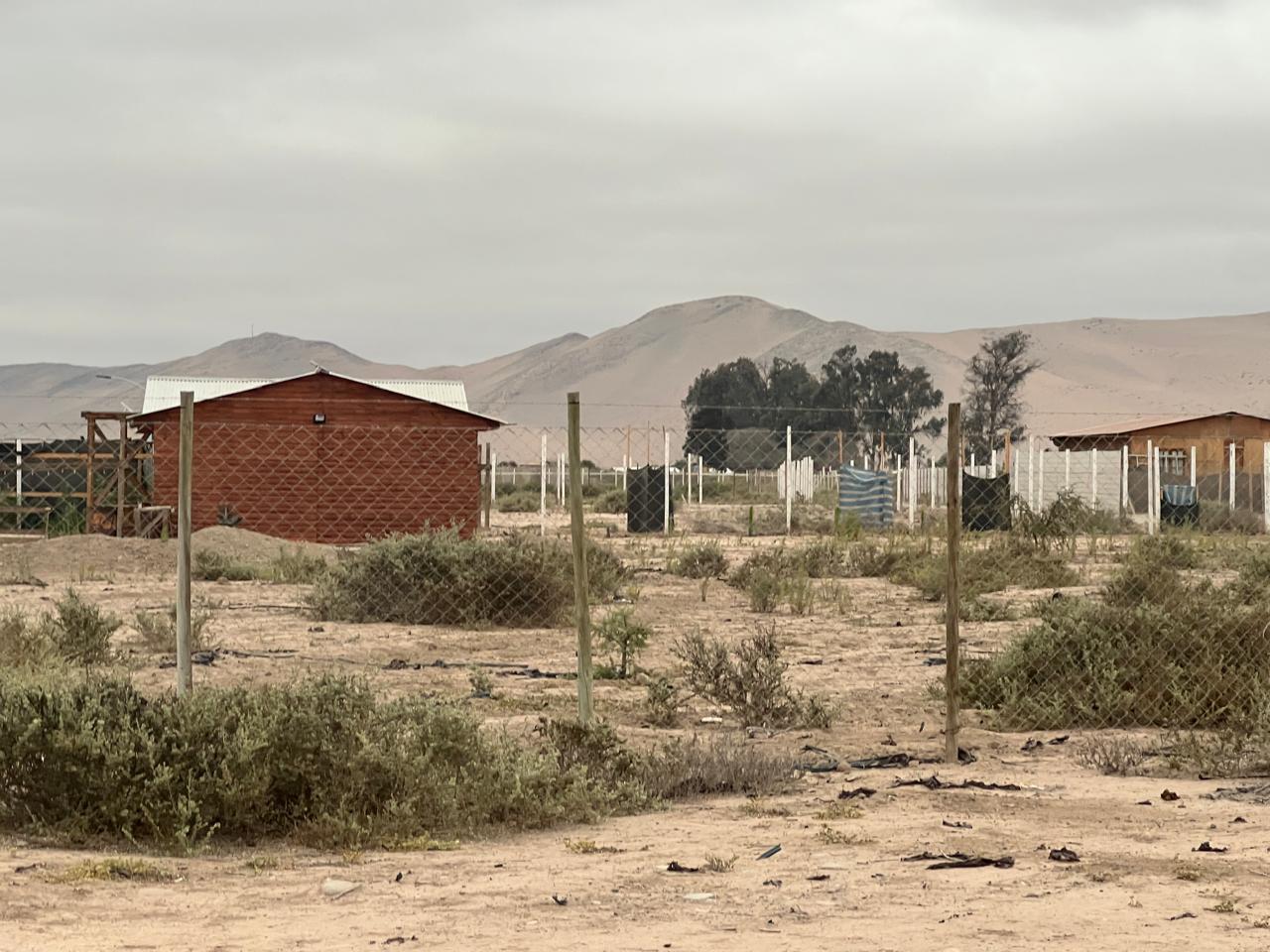 EXCELENTE PARCELA - VALLE FERTIL - A 5 MIN DE CARRETERA.-1/2 Ha.