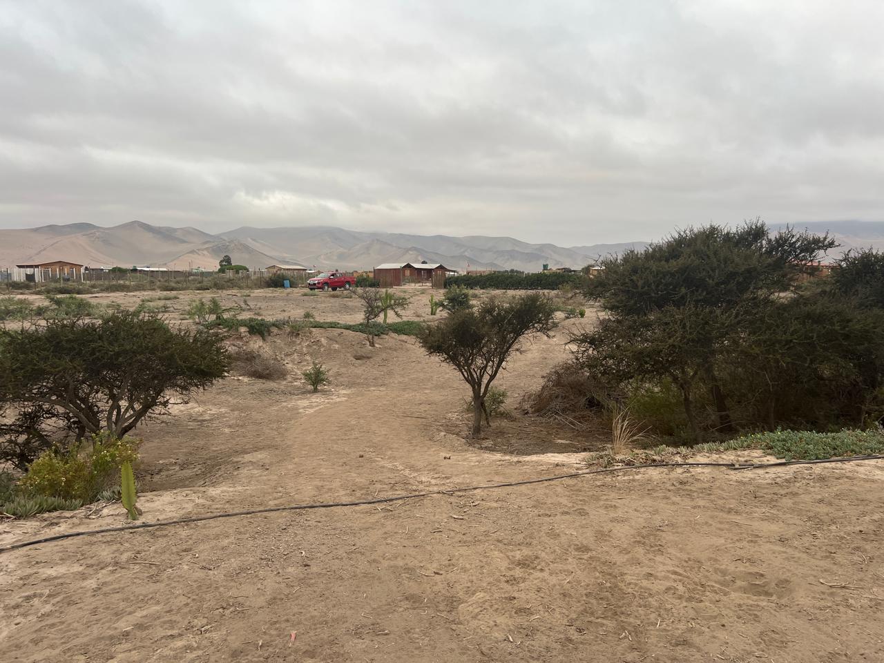 EXCELENTE PARCELA - VALLE FERTIL - A 5 MIN DE CARRETERA.-1/2 Ha.