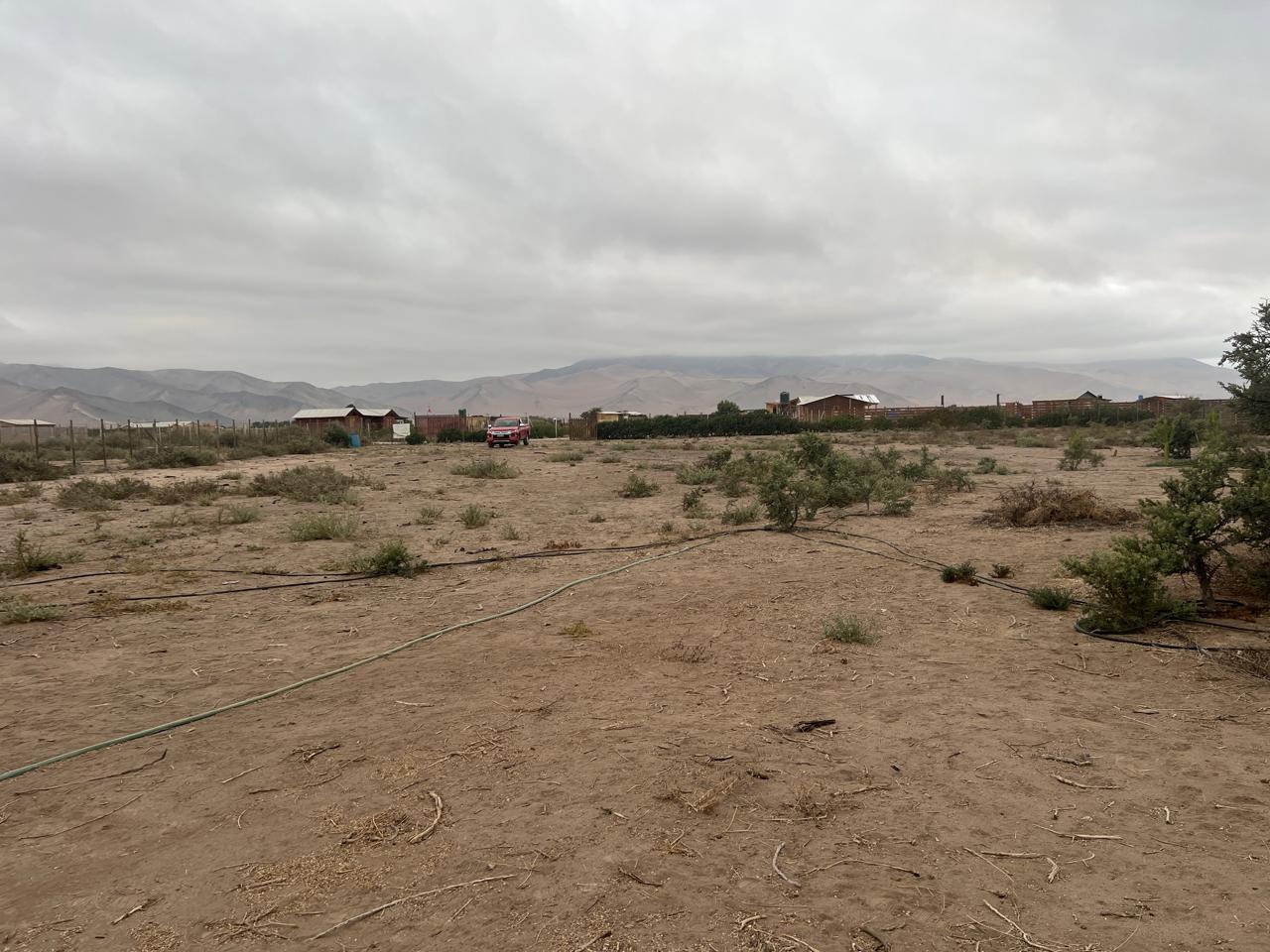 EXCELENTE PARCELA - VALLE FERTIL - A 5 MIN DE CARRETERA.-1/2 Ha.