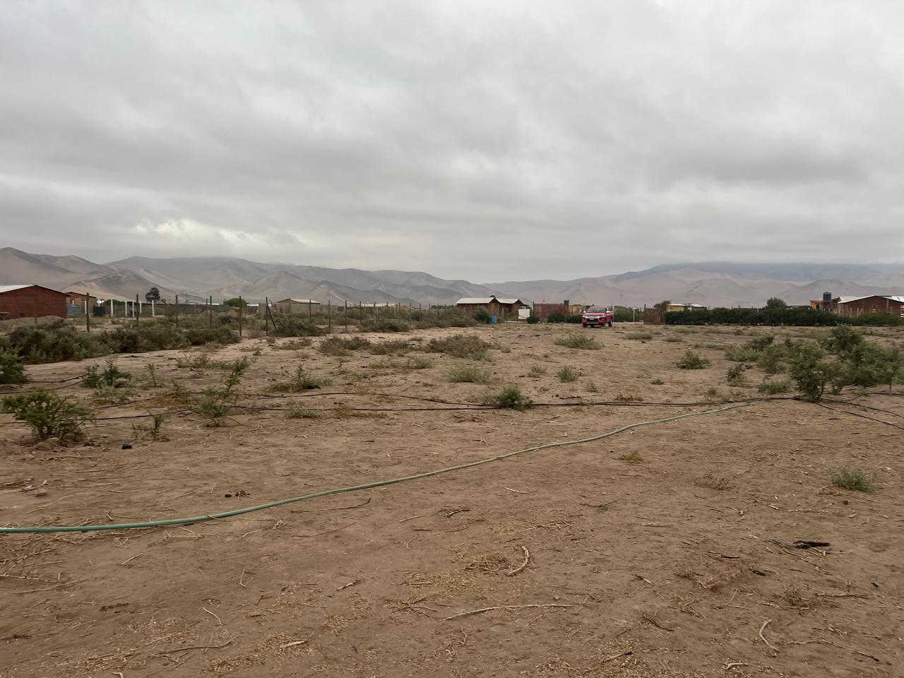 EXCELENTE PARCELA - VALLE FERTIL - A 5 MIN DE CARRETERA.-1/2 Ha.