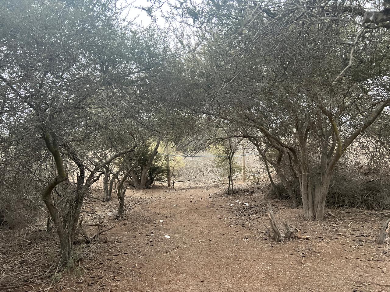 EXCELENTE PARCELA - VALLE FERTIL - A 5 MIN DE CARRETERA.-1/2 Ha.