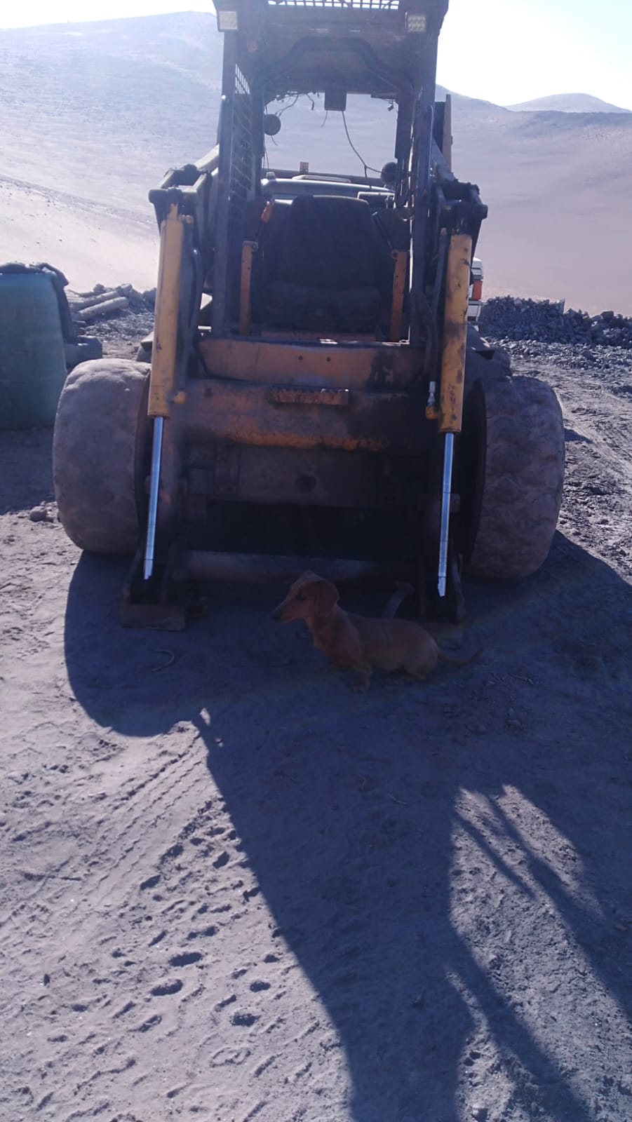 MINA LA PROBLEMA  DEL 1 AL 10.-