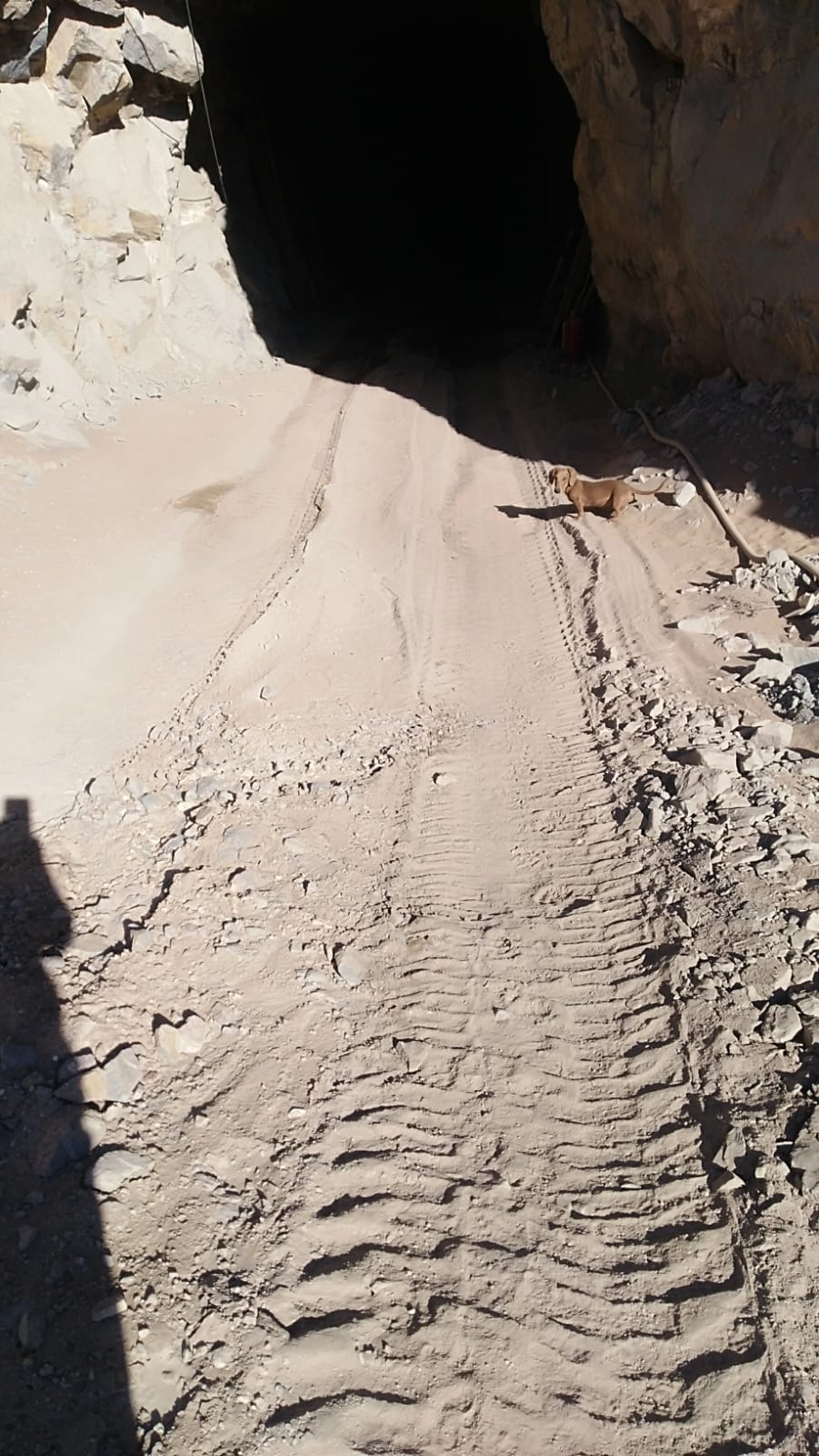 MINA LA PROBLEMA  DEL 1 AL 10.-