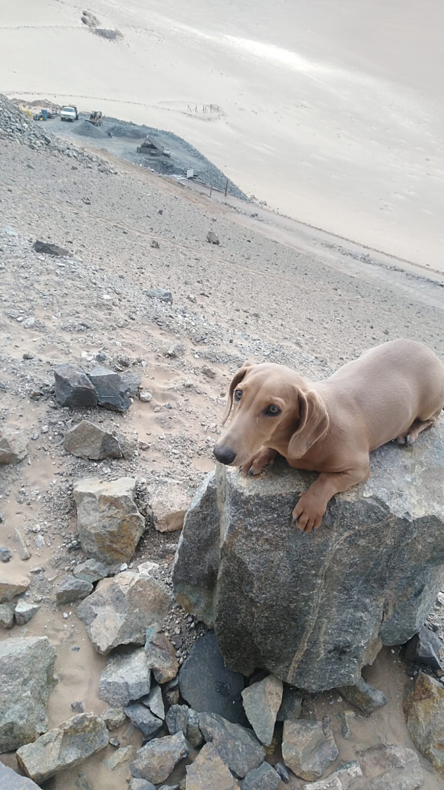 MINA LA PROBLEMA  DEL 1 AL 10.-