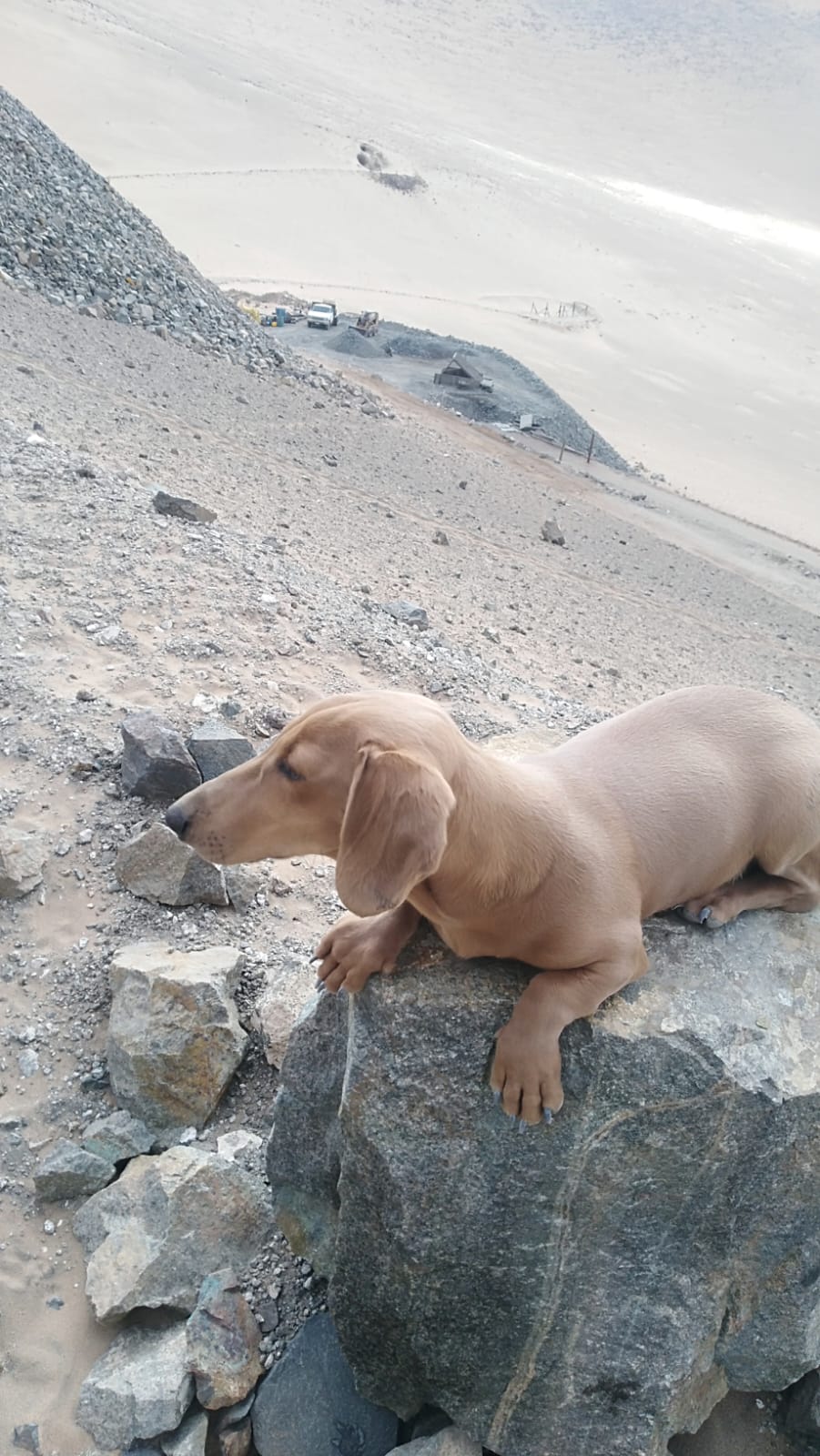 MINA LA PROBLEMA  DEL 1 AL 10.-