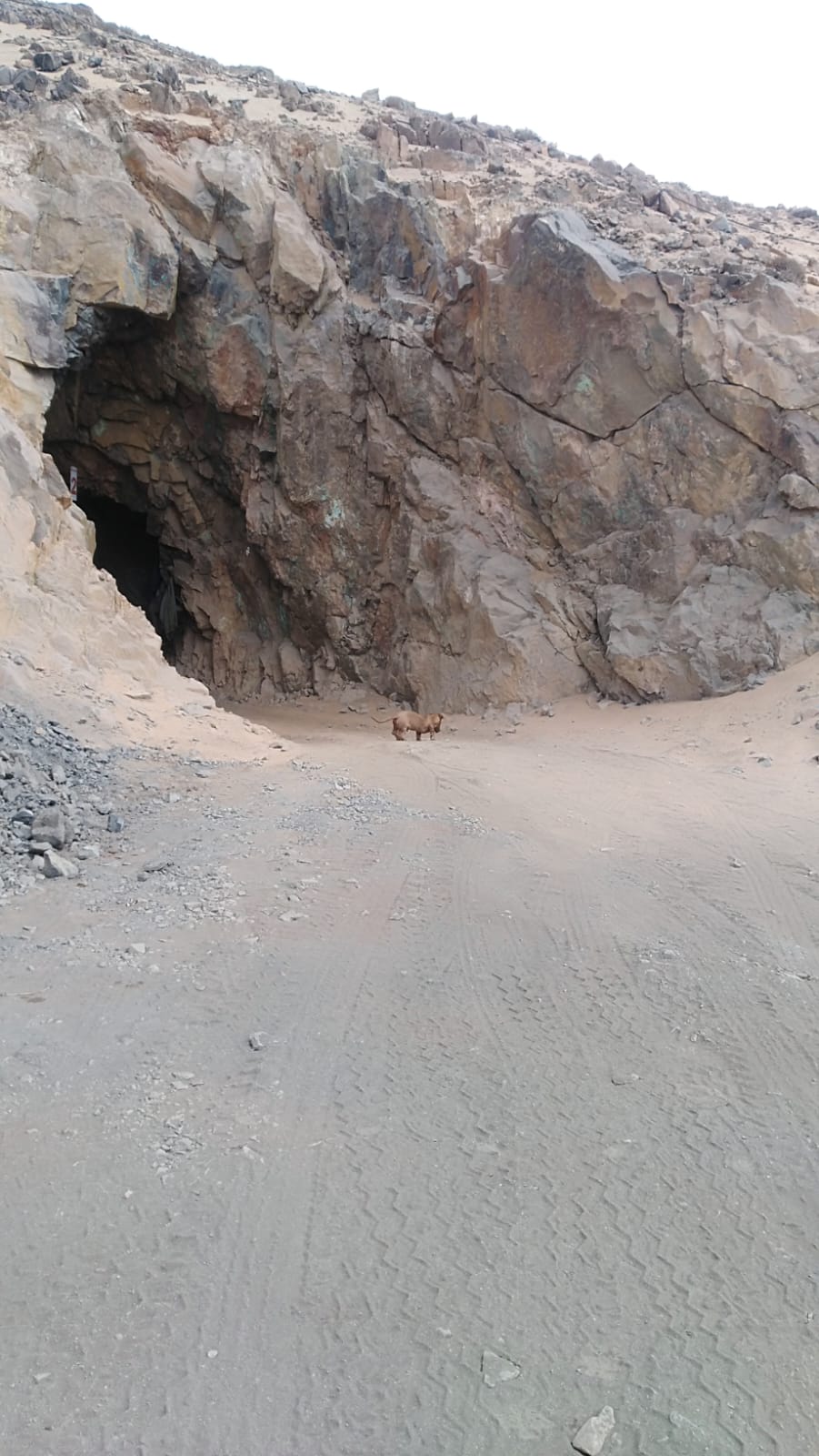 MINA LA PROBLEMA  DEL 1 AL 10.-