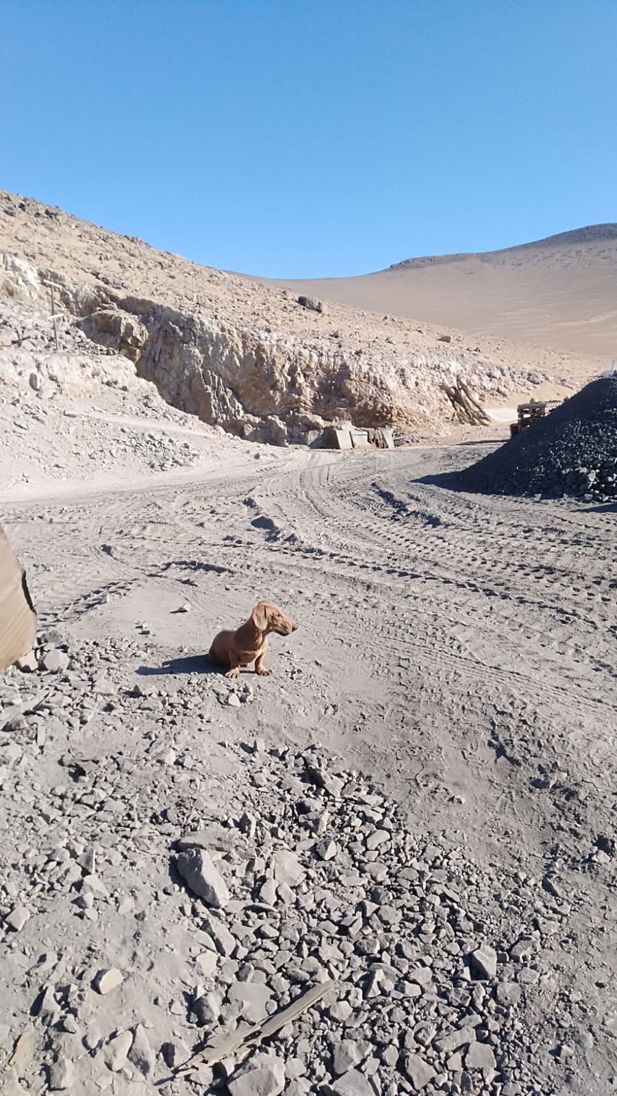 MINA LA PROBLEMA  DEL 1 AL 10.-