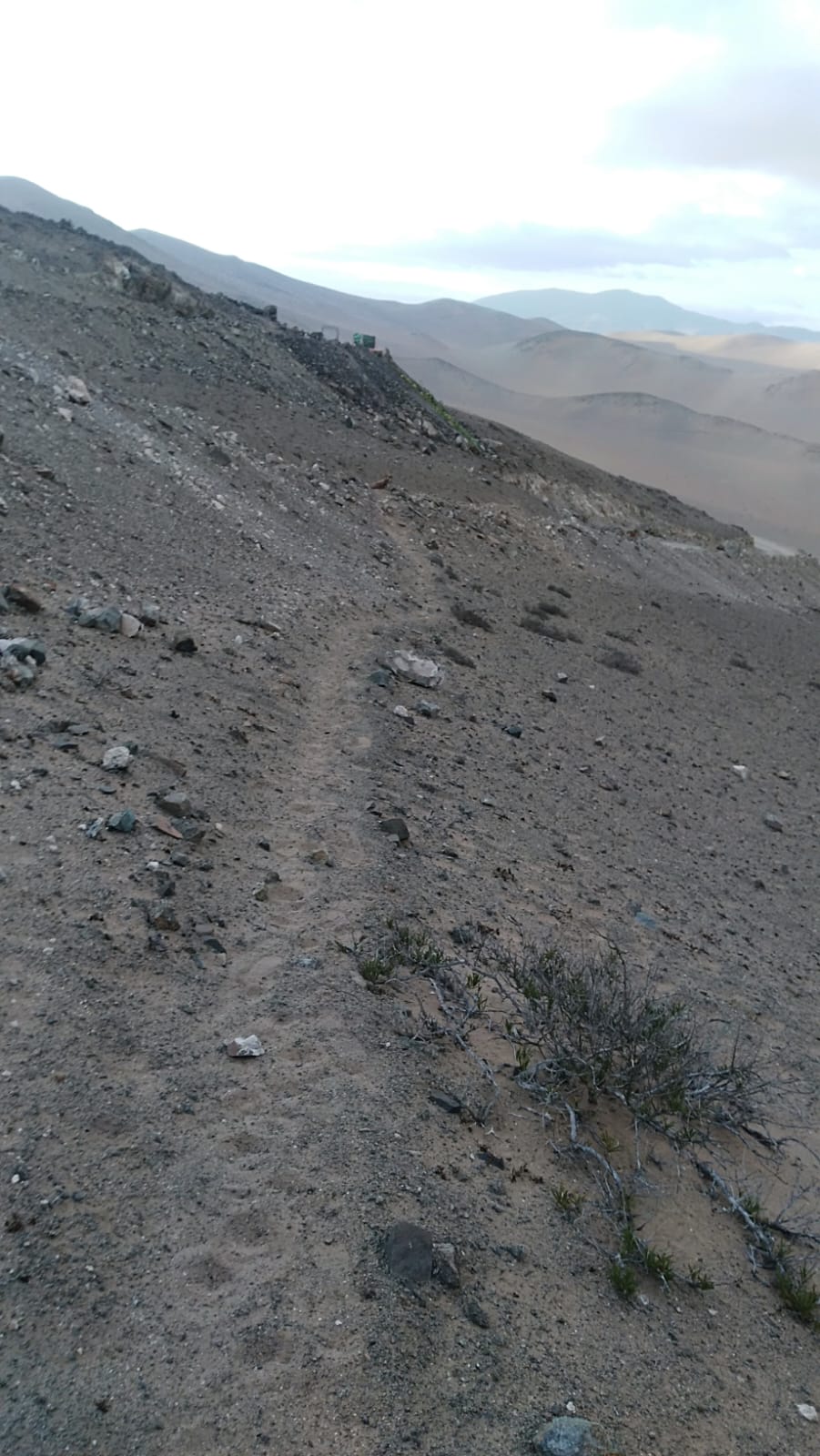 MINA LA PROBLEMA  DEL 1 AL 10.-