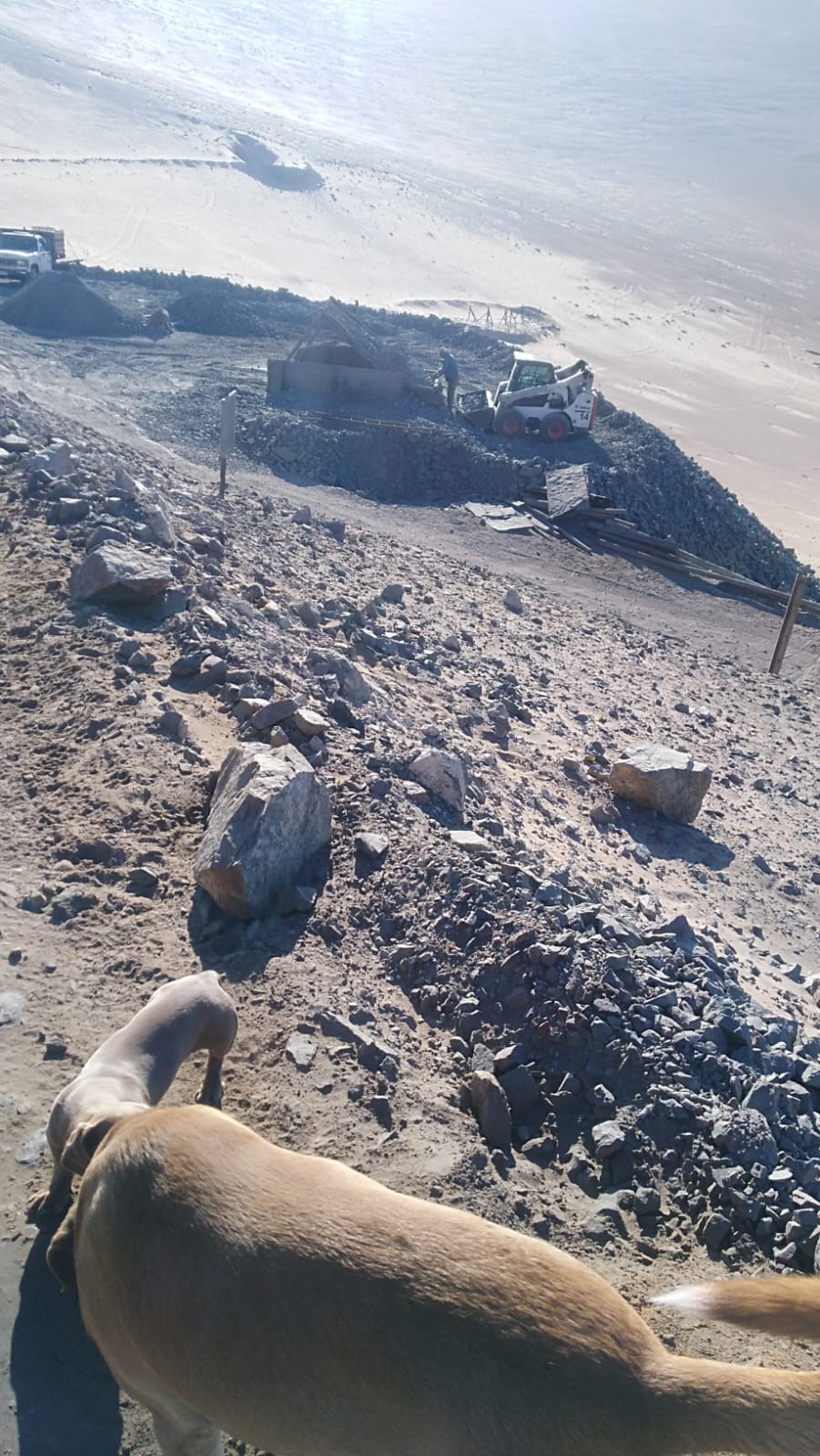 MINA LA PROBLEMA  DEL 1 AL 10.-