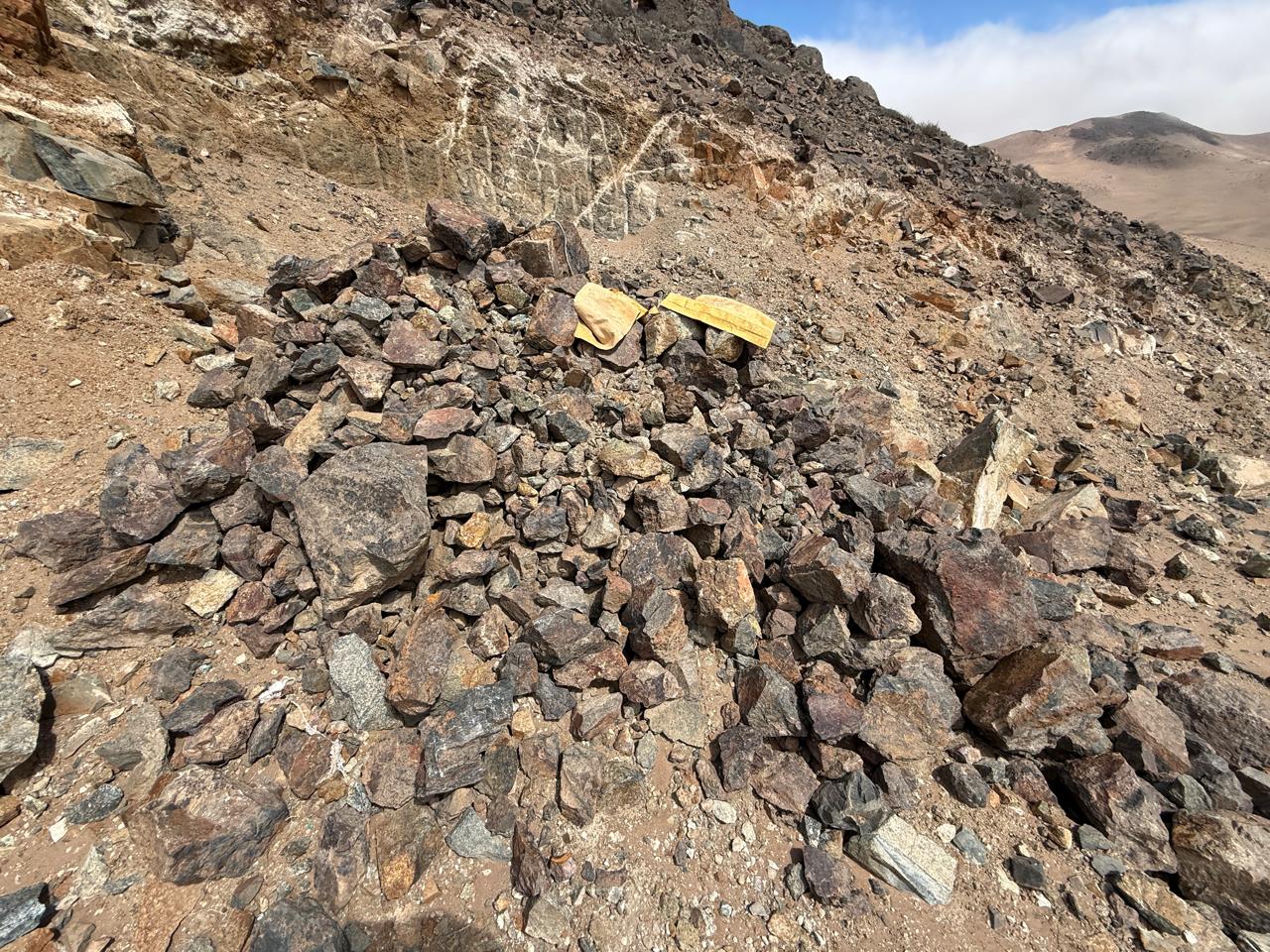 MINA LA PROBLEMA  DEL 1 AL 10.-