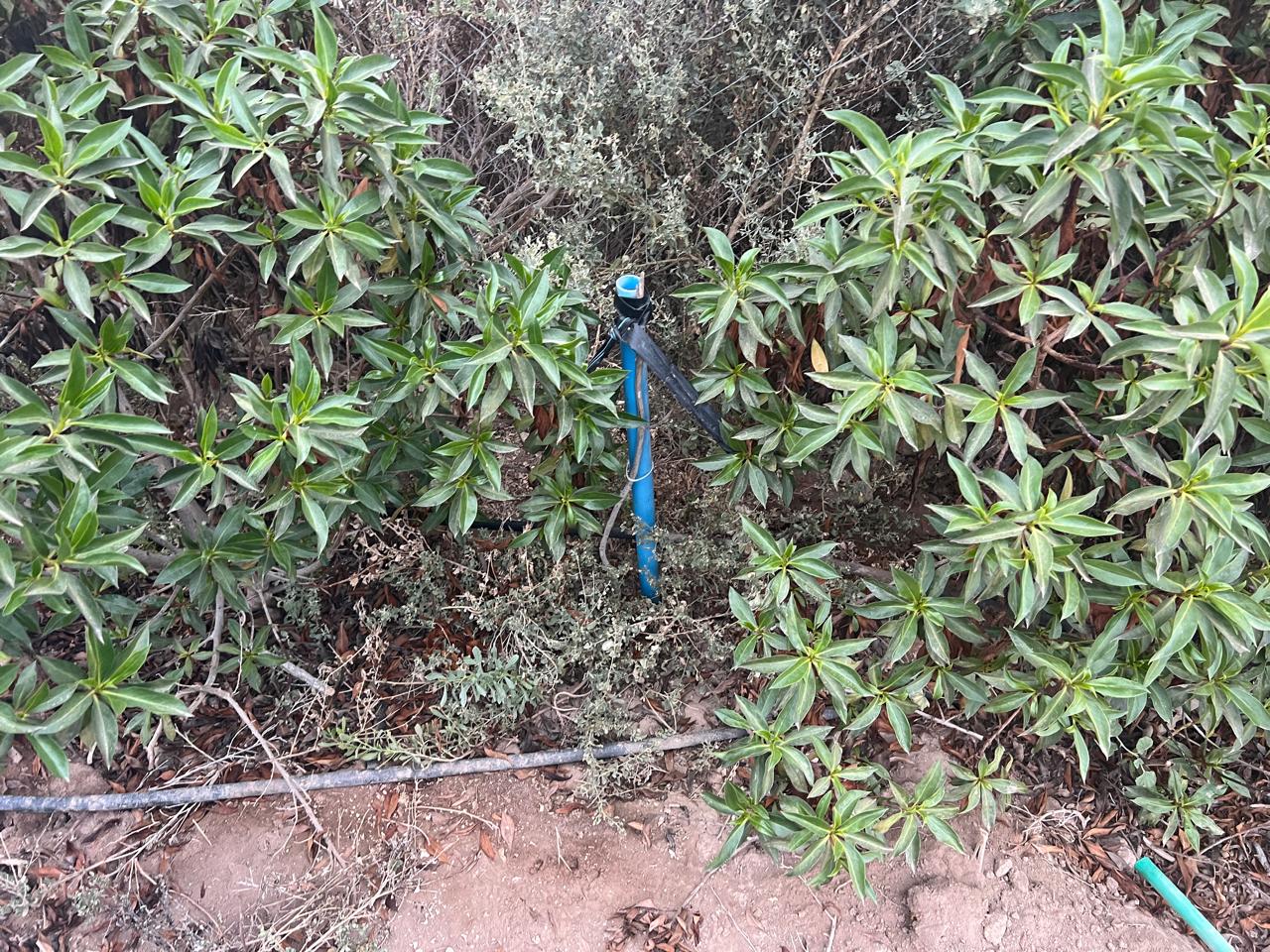 LINDA PARCELA VALLE FERTIL.- 5.000 M2.