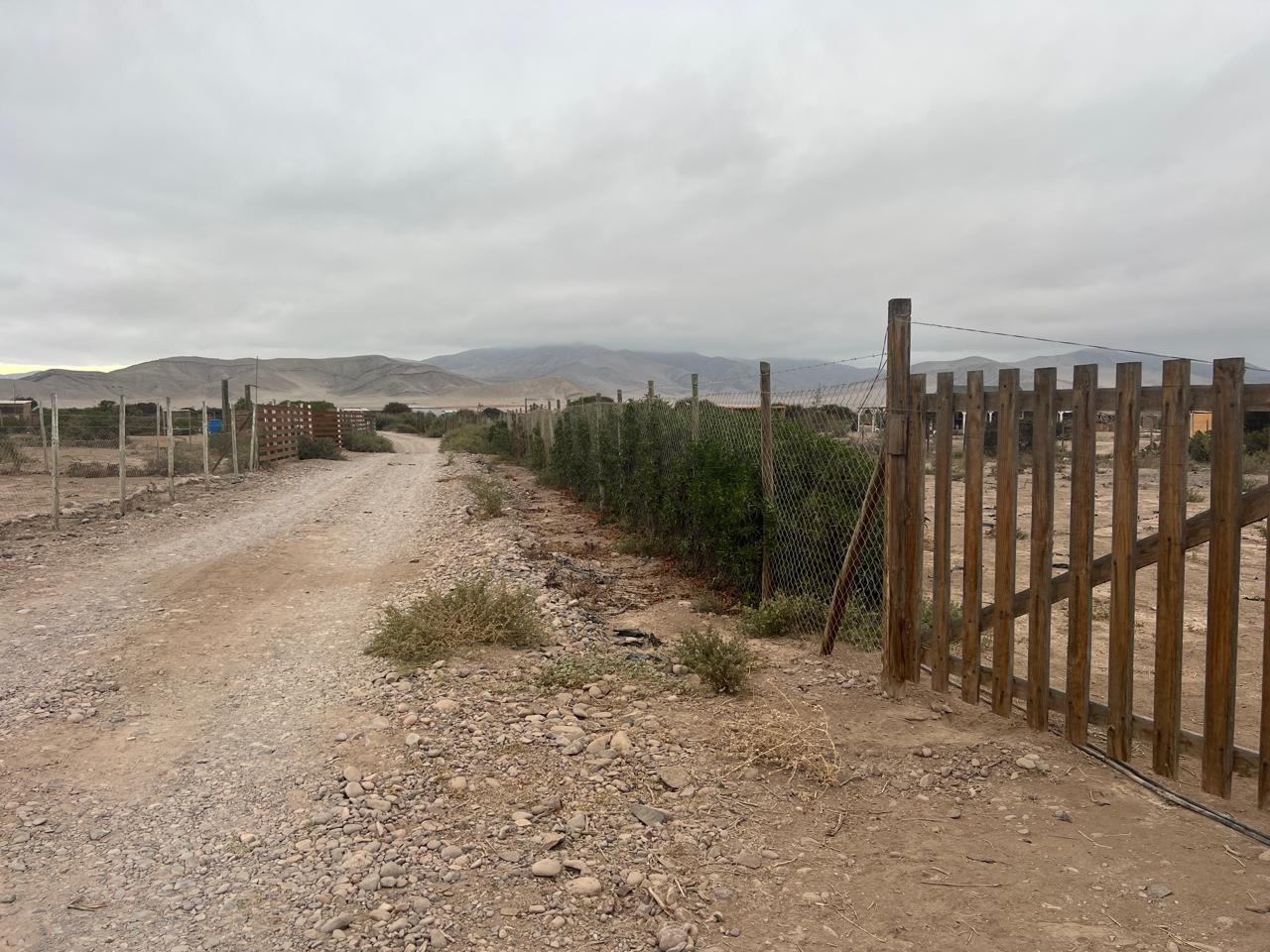 LINDA PARCELA VALLE FERTIL.- 5.000 M2.