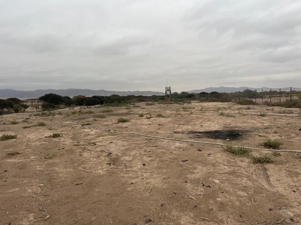 LINDA PARCELA VALLE FERTIL.- 5.000 M2.