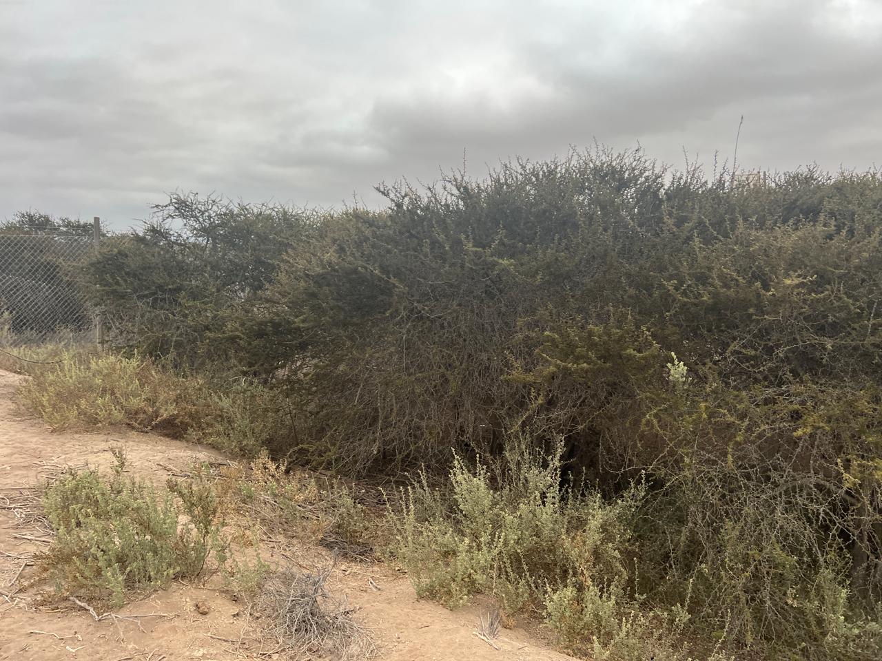 LINDA PARCELA VALLE FERTIL.- 5.000 M2.