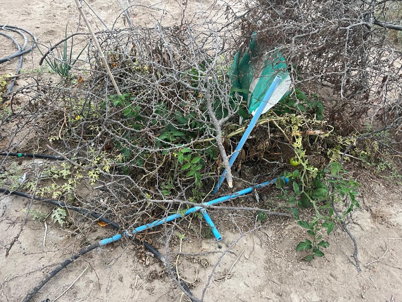 LINDA PARCELA VALLE FERTIL.- 5.000 M2.