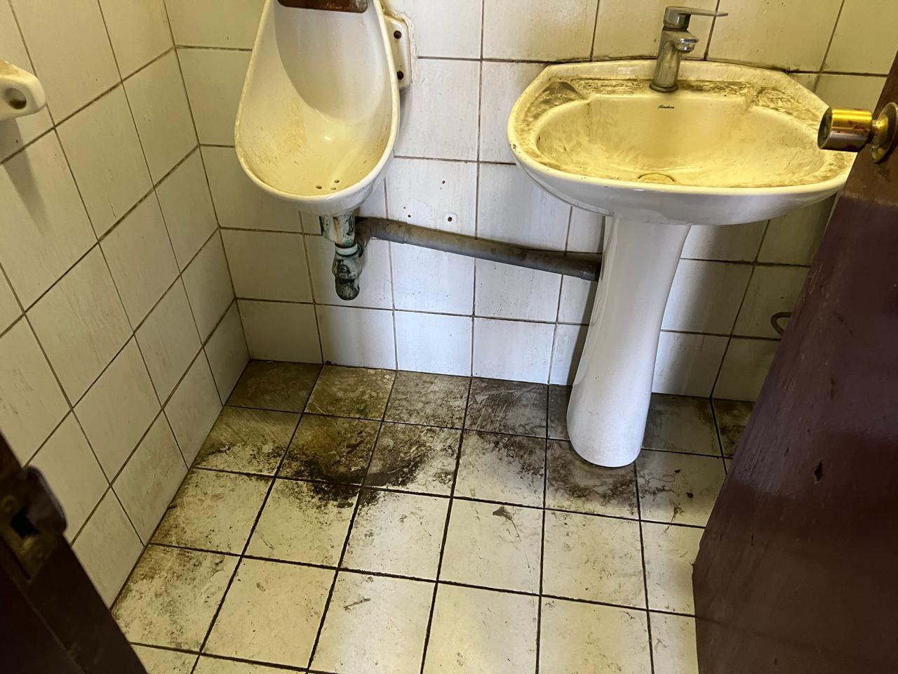 GRAN GALPON INDUSTRIAL- EX DETROIT